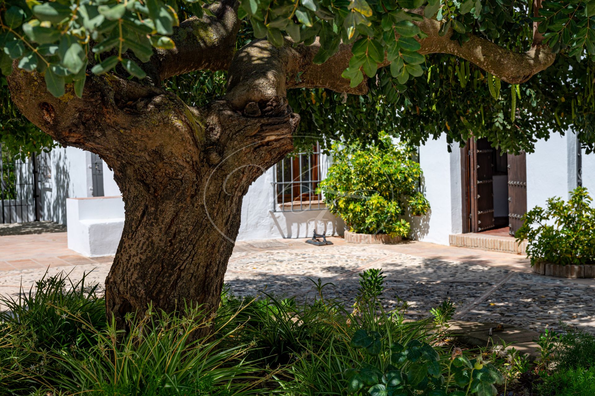 Boerderij te koop in Ronda