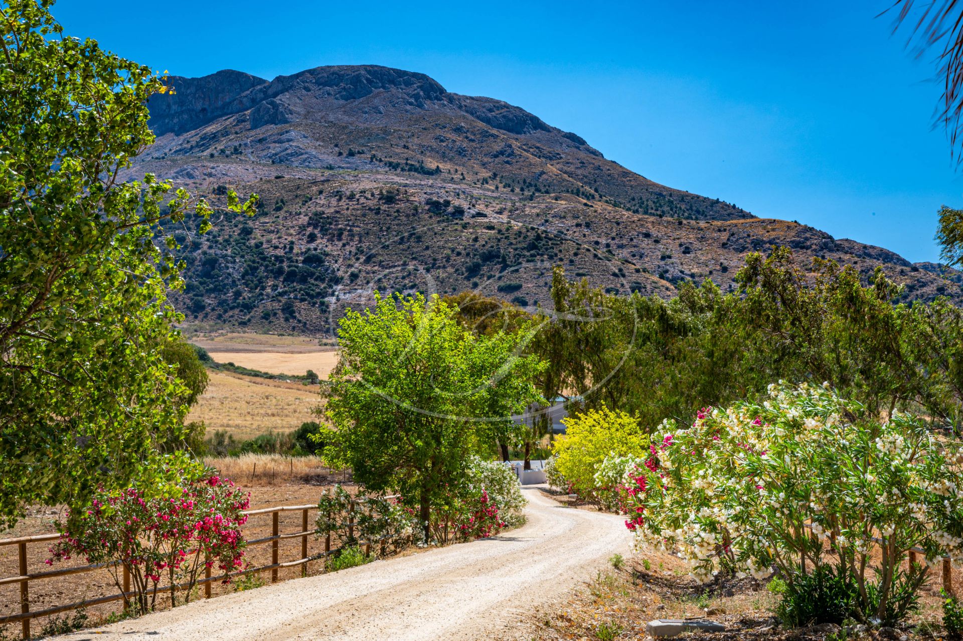 Cortijo en venta en Ronda