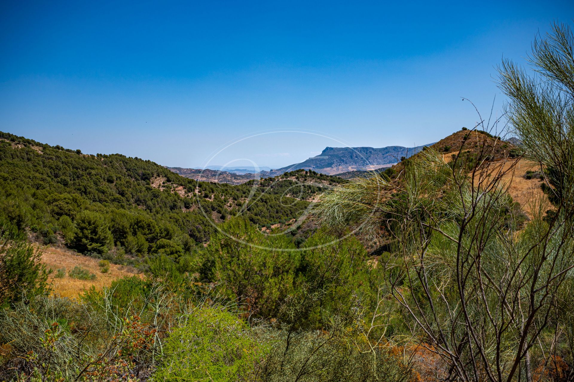 Boerderij te koop in Ronda