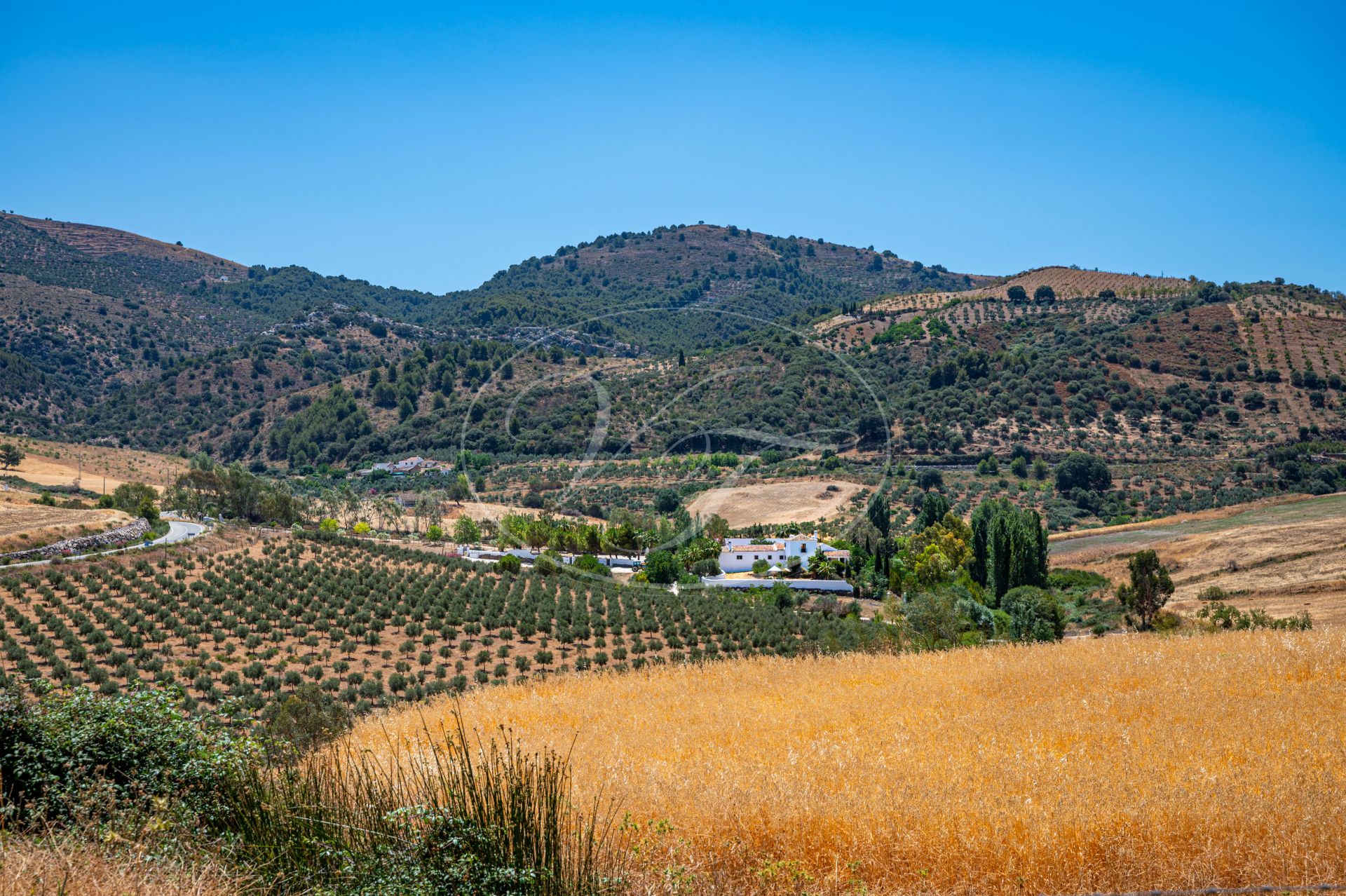 Cortijo en venta en Ronda