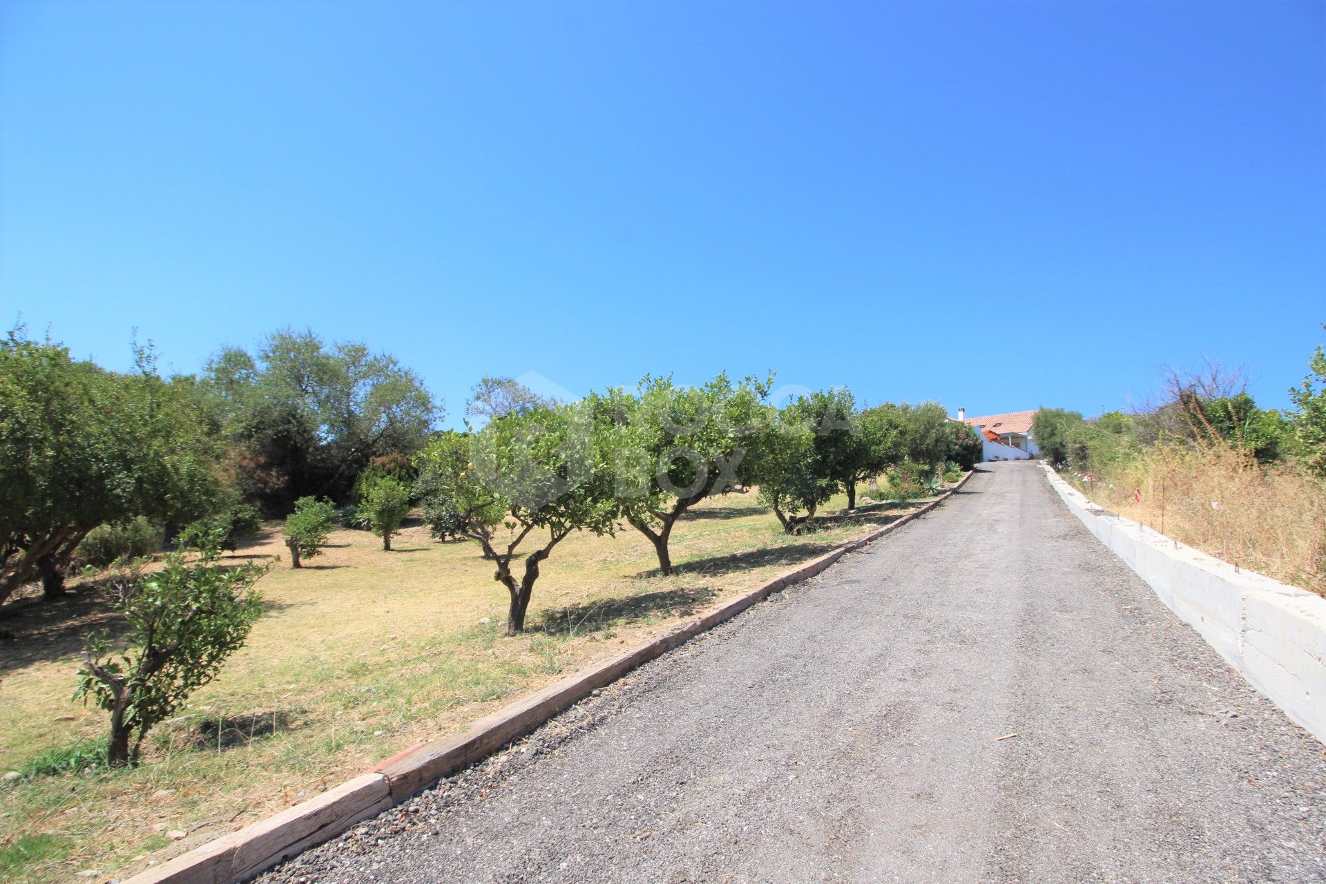 Large private villa with pool and extensive plot for sale in Estepona