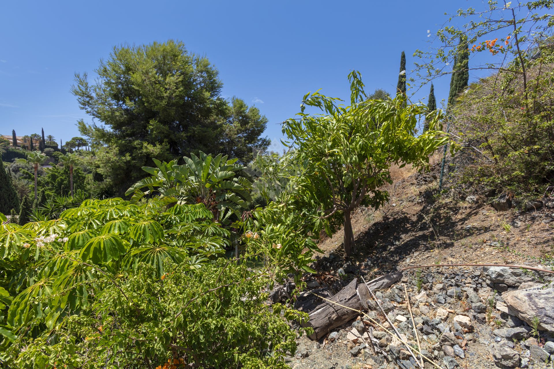 Villa in Puerto del Almendro, Benahavis