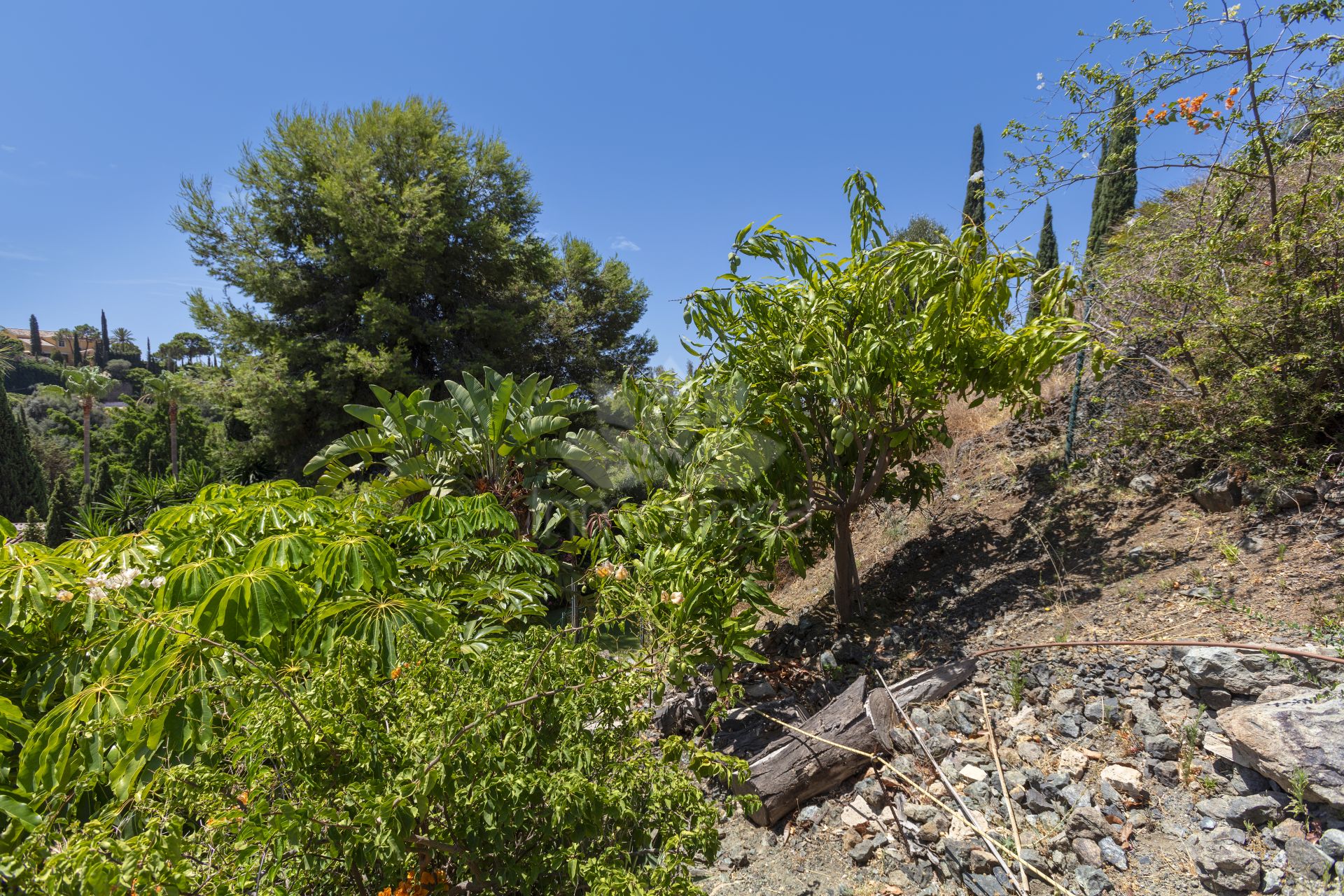 Villa in Puerto del Almendro, Benahavis