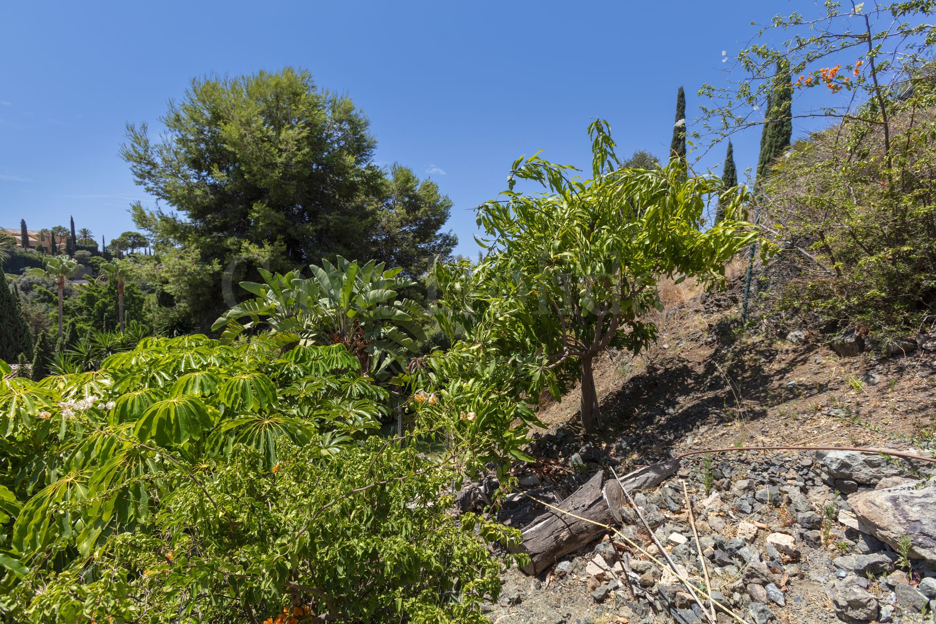 Villa en Puerto del Almendro, Benahavis