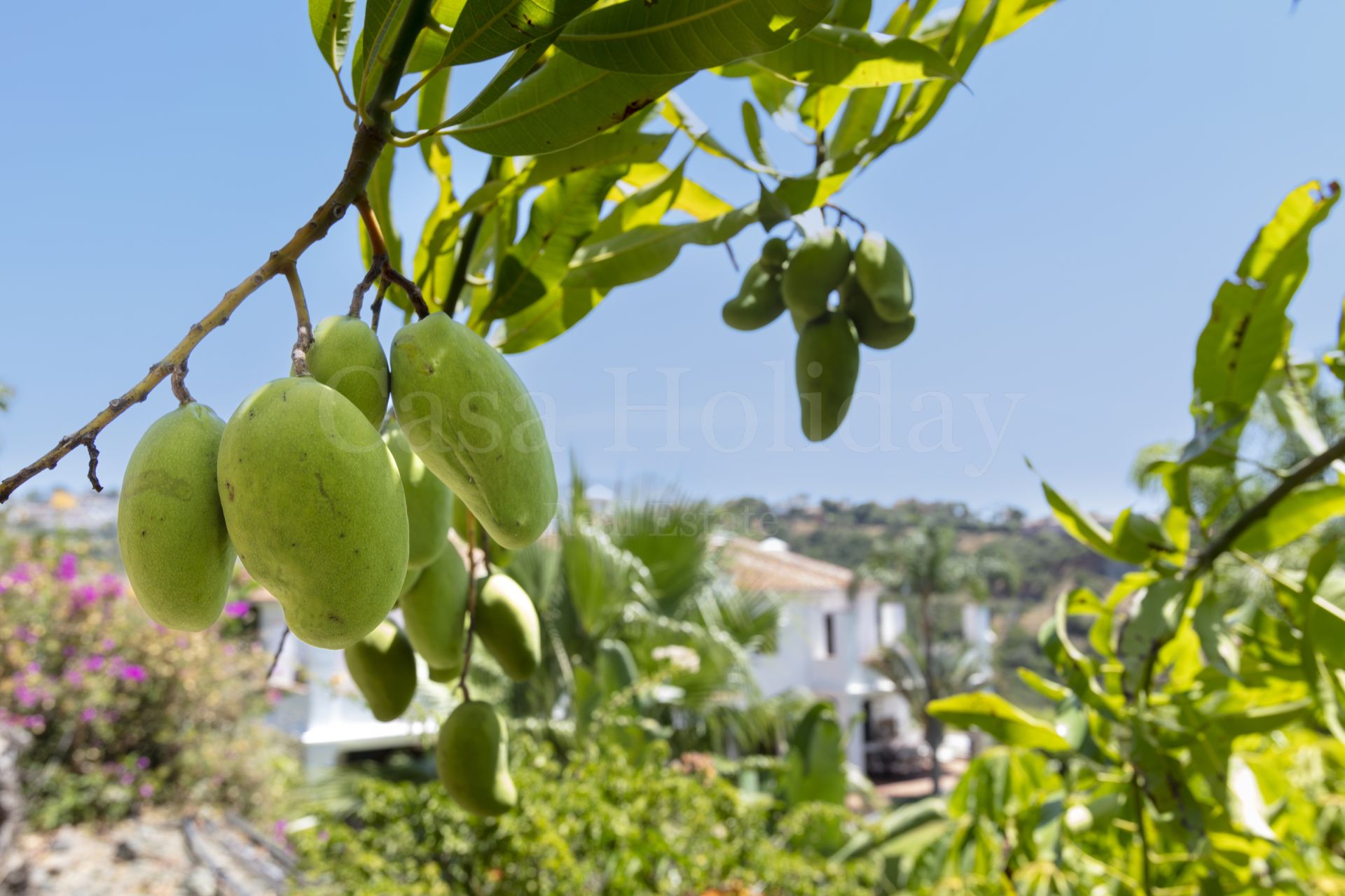 Villa en Puerto del Almendro, Benahavis