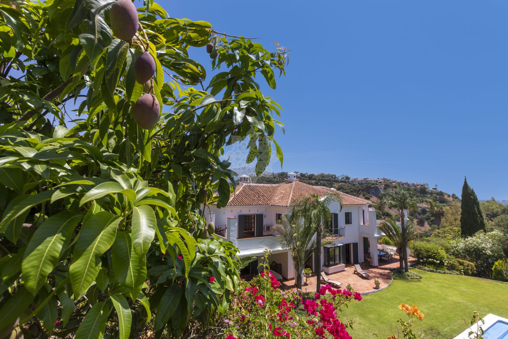 Villa in Puerto del Almendro, Benahavis
