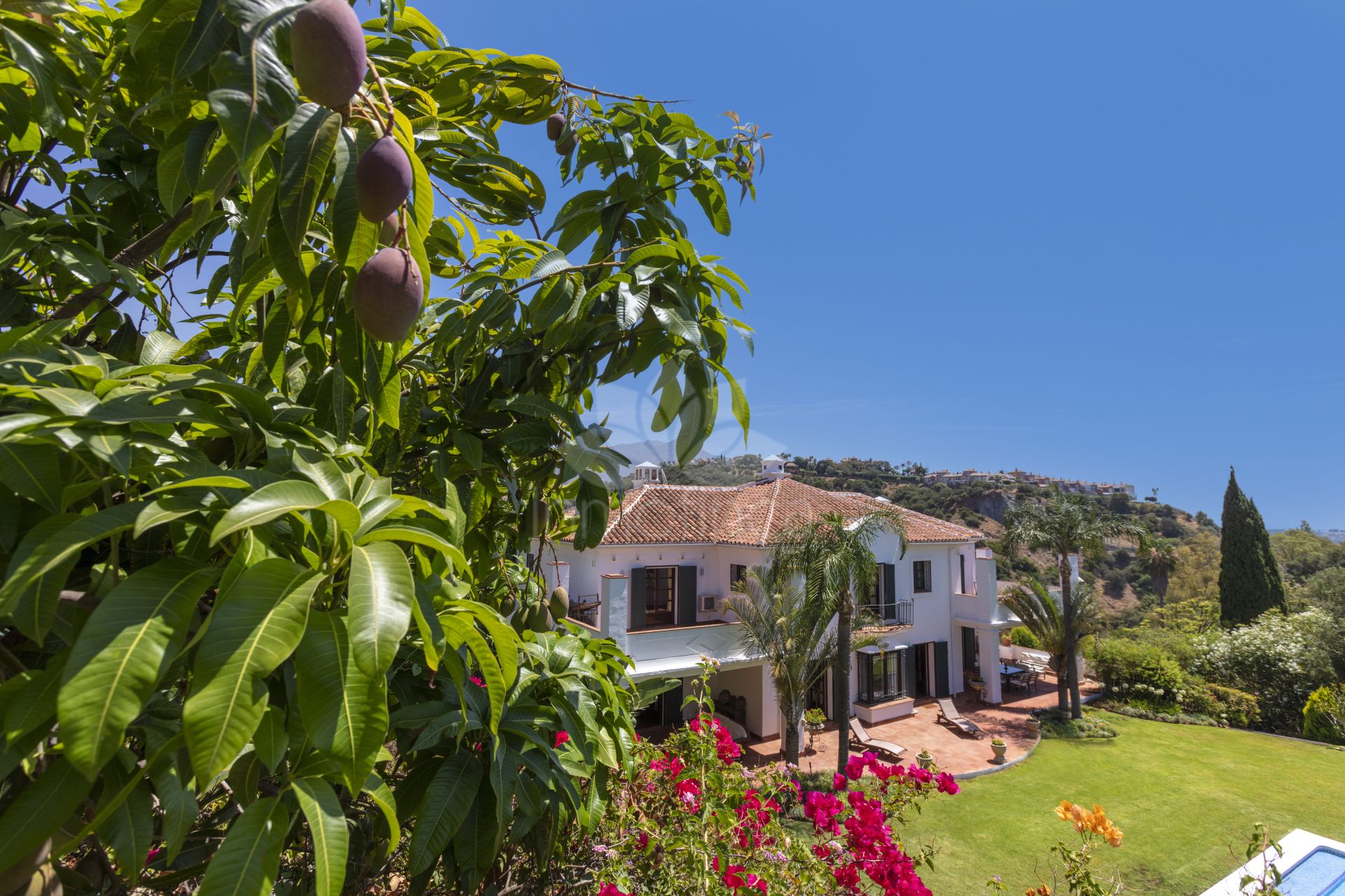 Villa in Puerto del Almendro, Benahavis