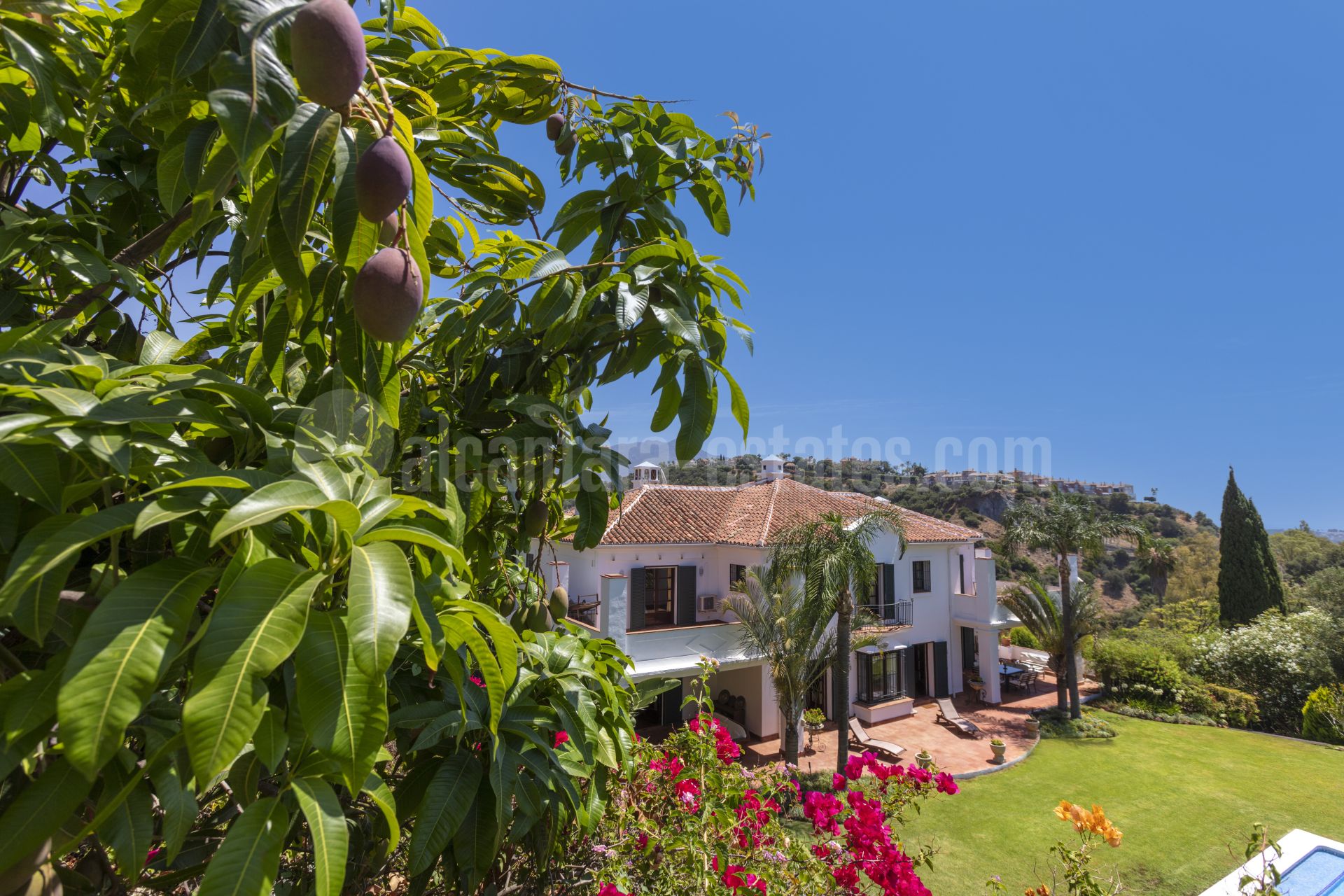 Villa in Puerto del Almendro, Benahavis