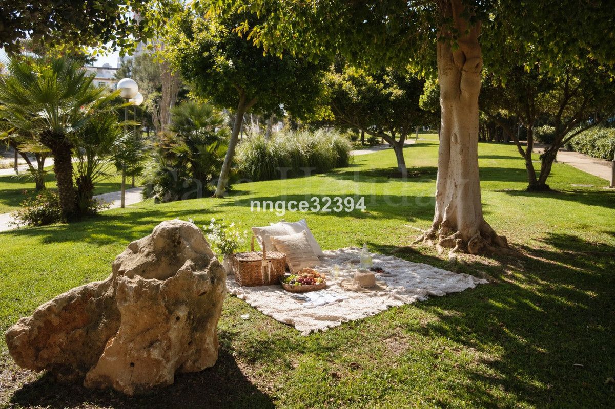 Apartment in Estepona