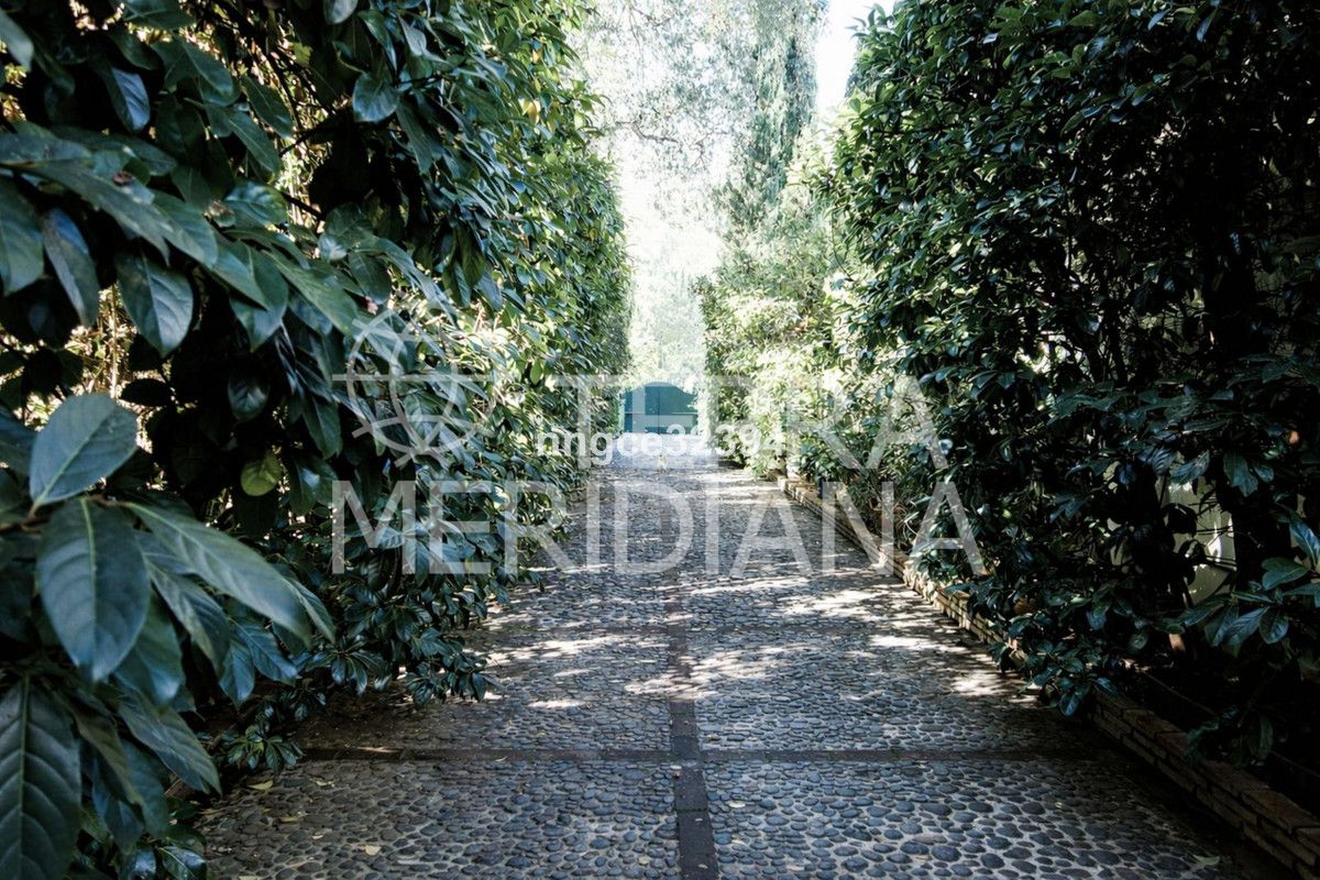 Villa in Sotogrande Costa, Sotogrande