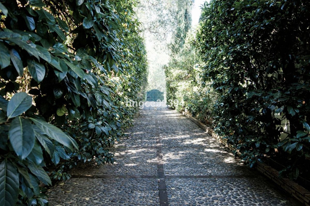 Villa in Sotogrande Costa, Sotogrande