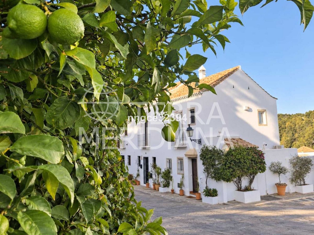 Town House in Nueva Andalucia, Marbella