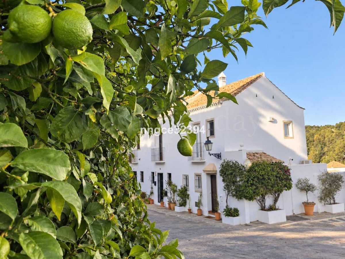 Town House in Nueva Andalucia, Marbella