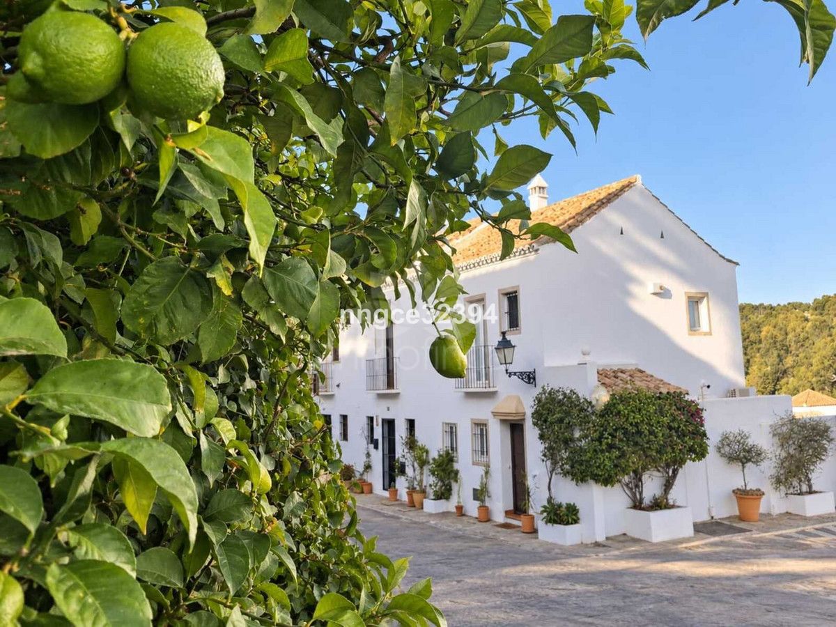 Town House in Nueva Andalucia, Marbella