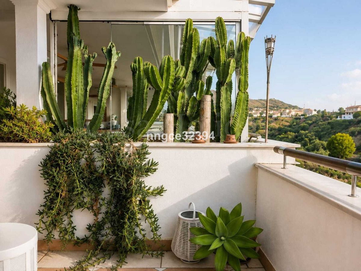 Apartment in Sierra Blanca, Marbella