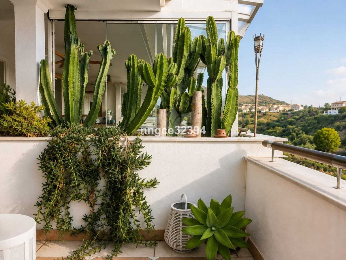 Apartment in Sierra Blanca, Marbella