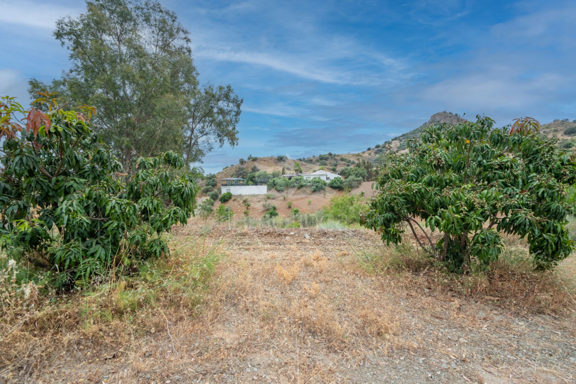 Country House in Campanillas, Malaga