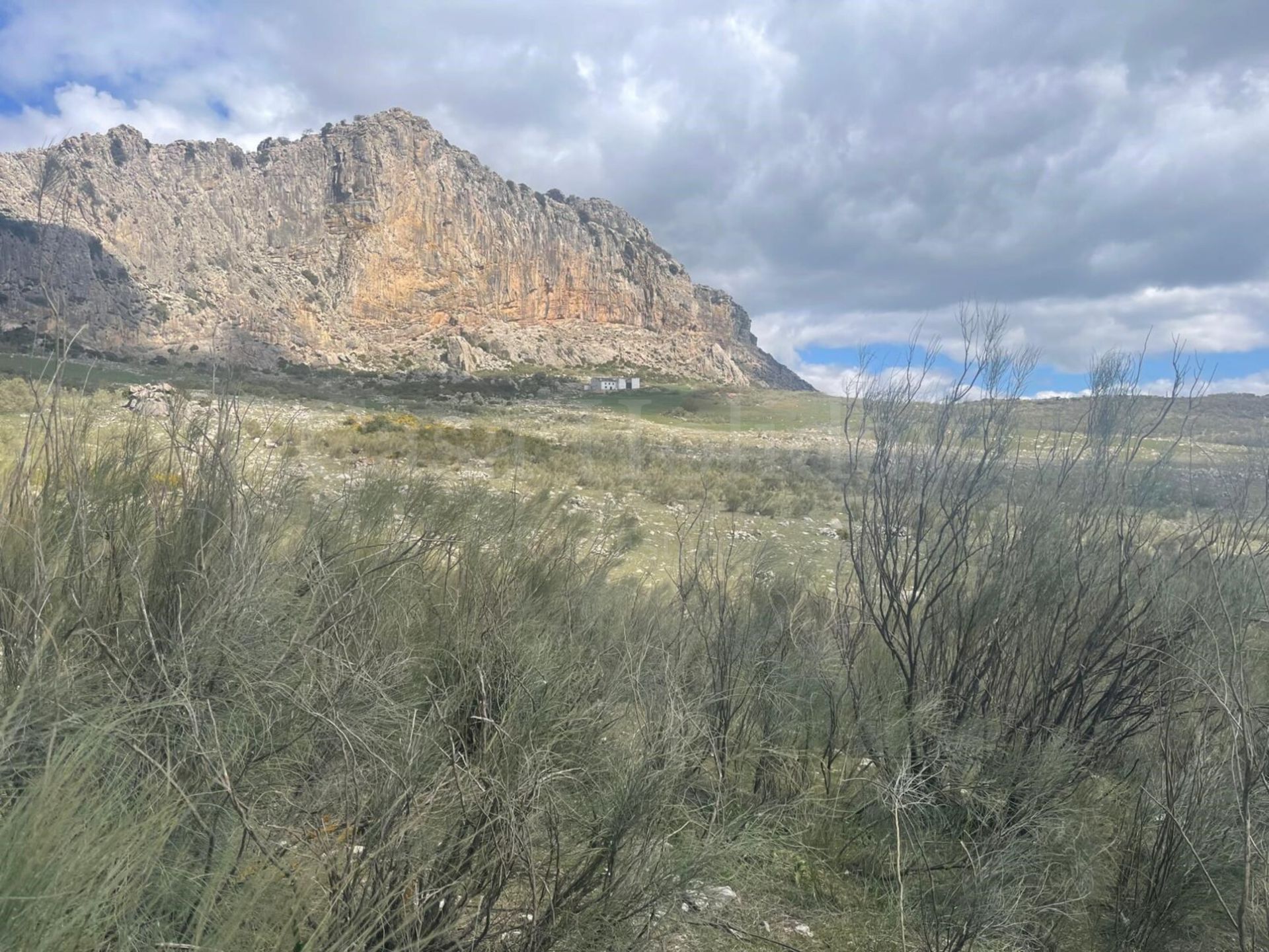 Cortijo en Villanueva de la Concepción