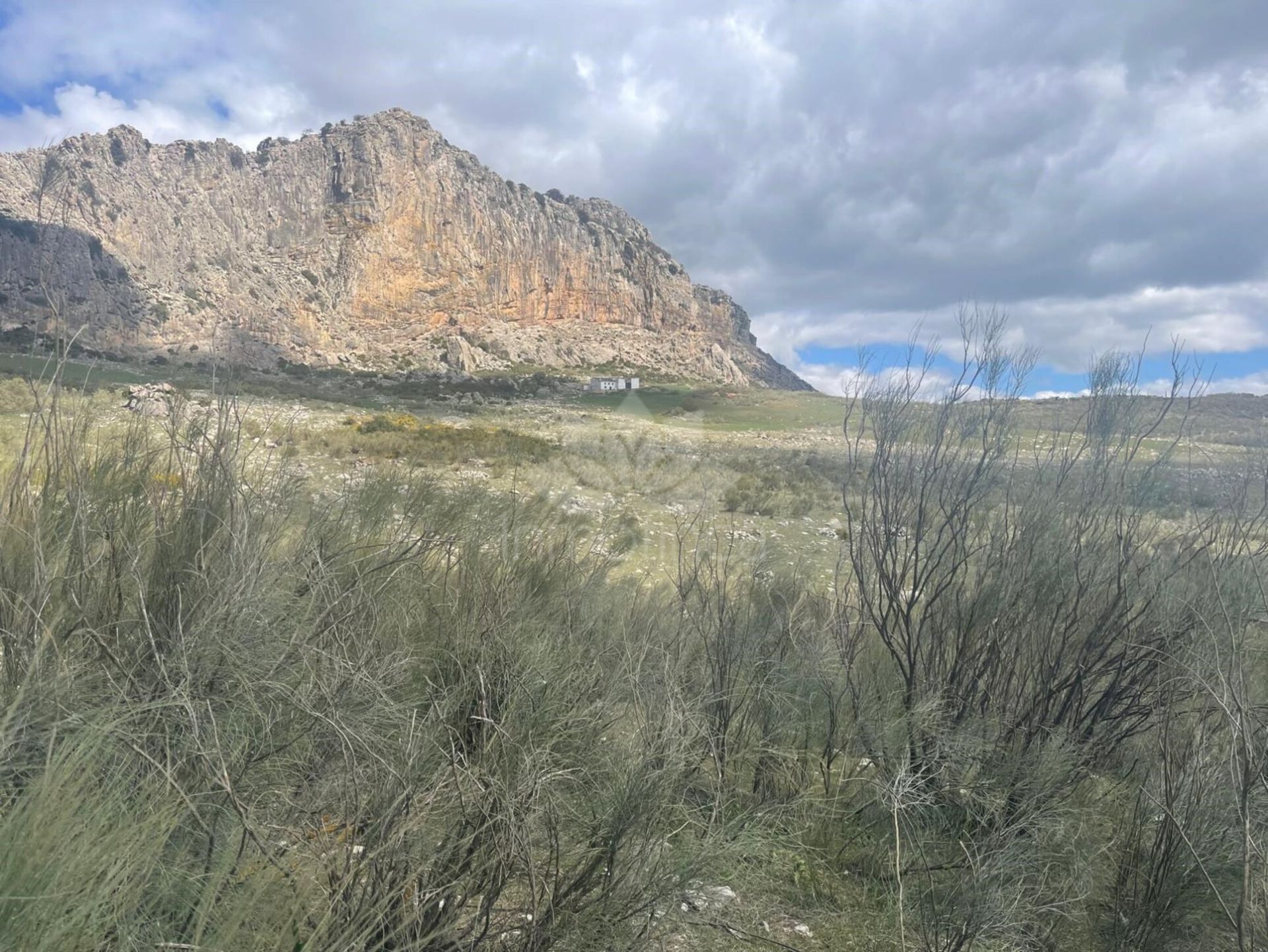 Cortijo en Villanueva de la Concepción