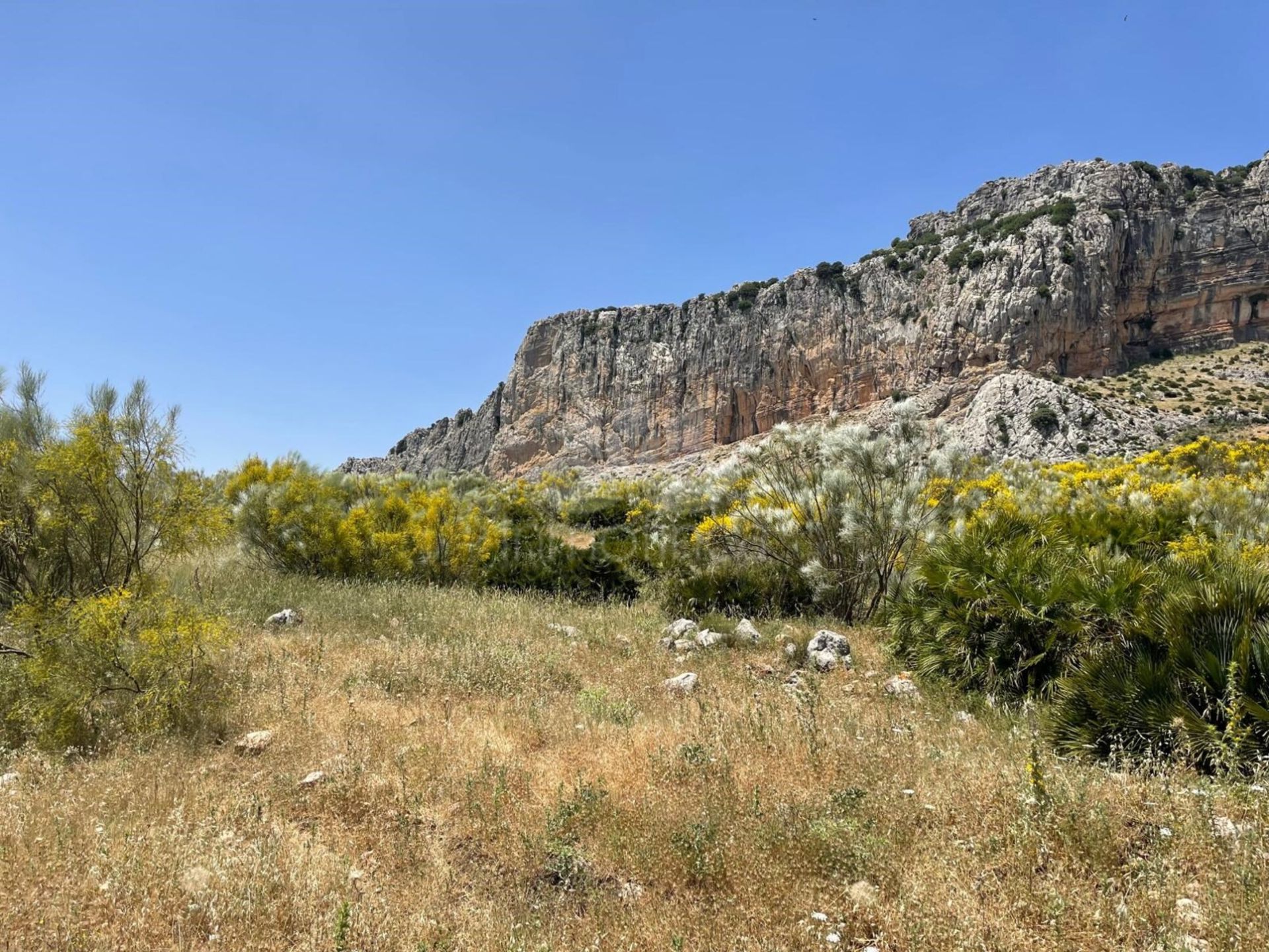 Cortijo en Villanueva de la Concepción