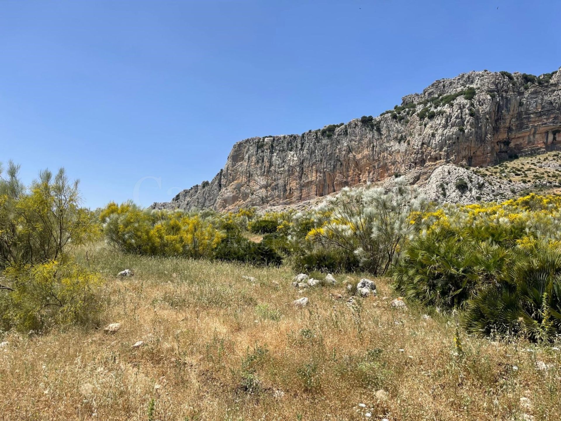 Cortijo en Villanueva de la Concepción