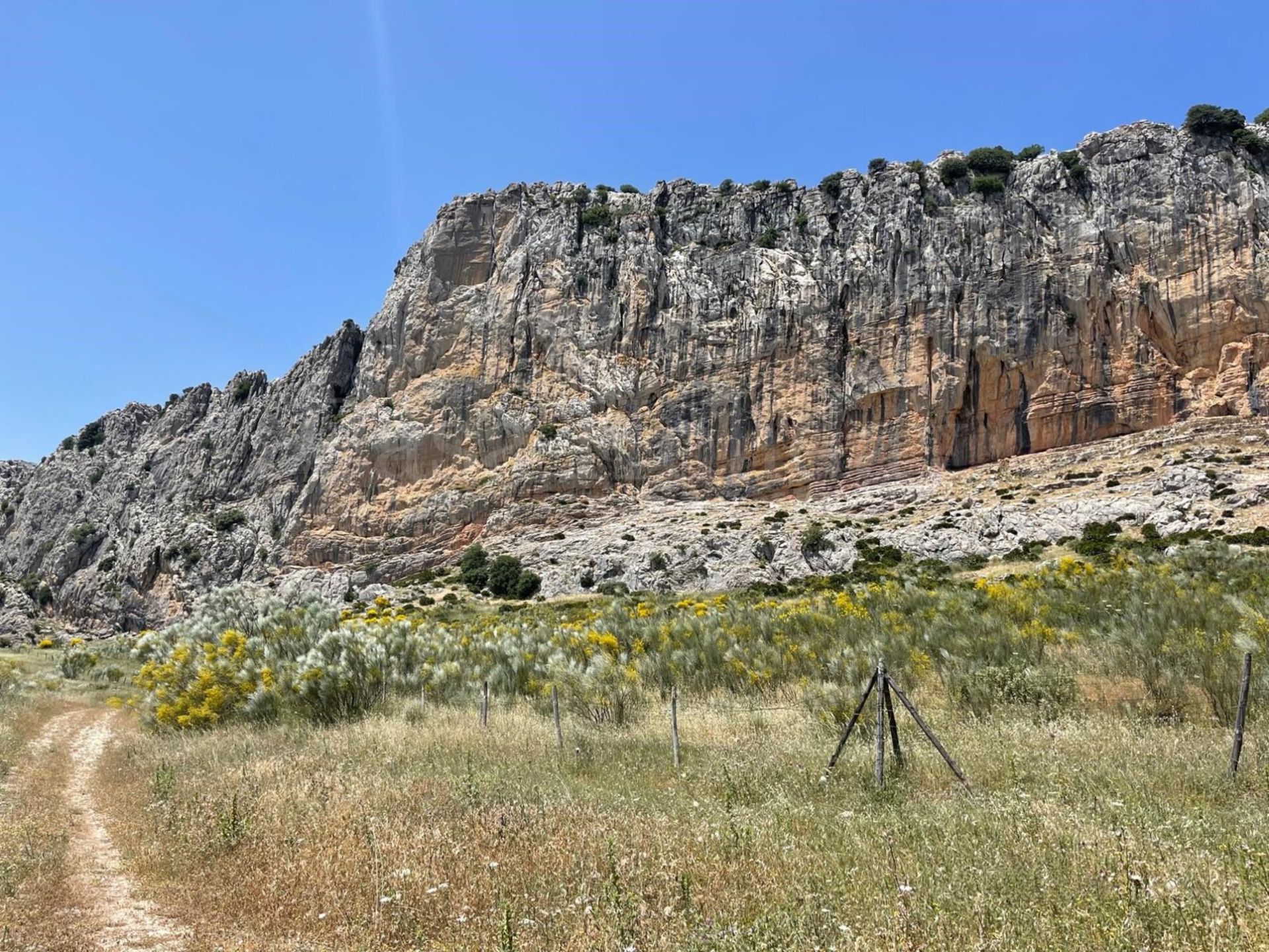 Cortijo en Villanueva de la Concepción