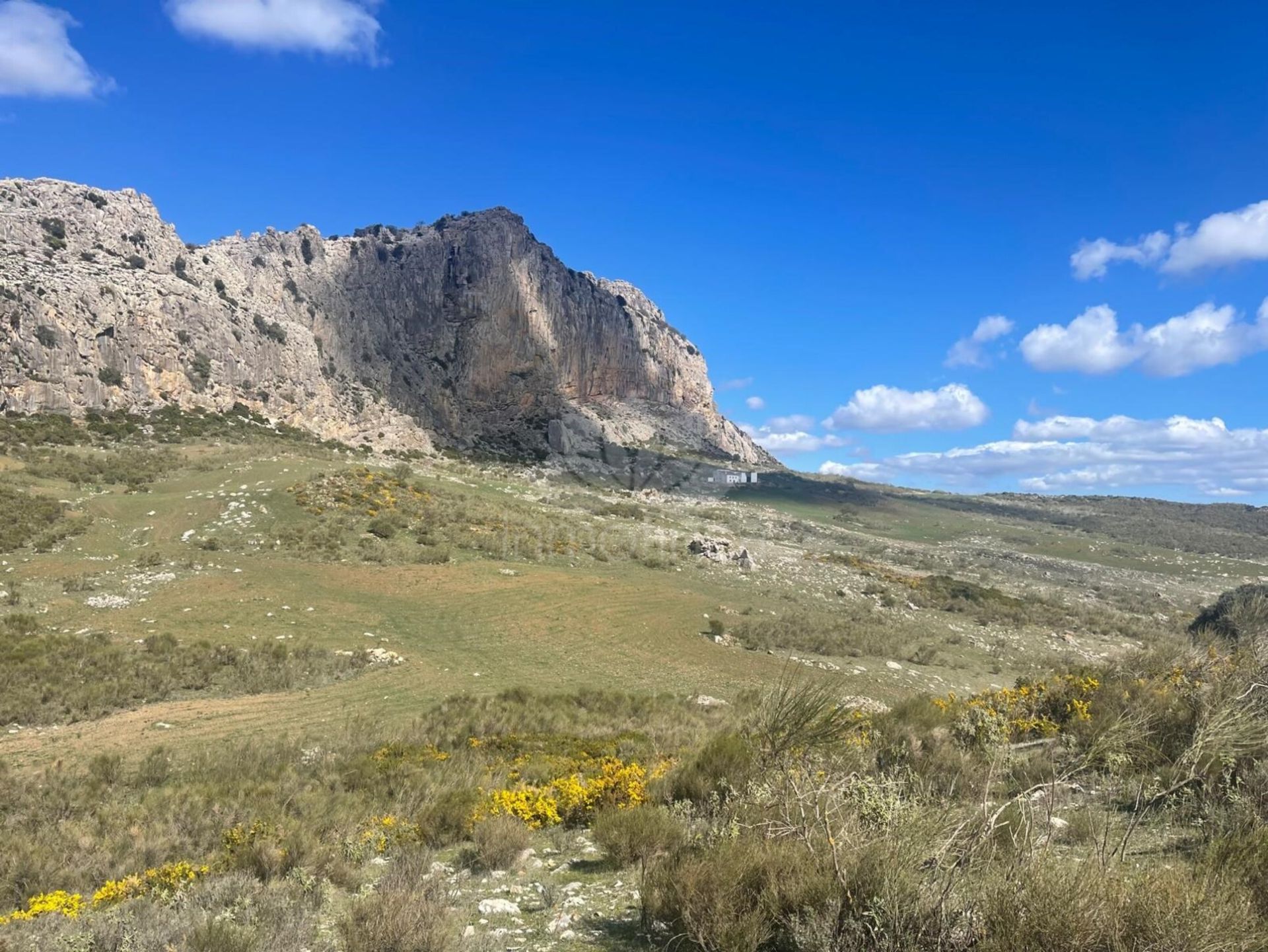 Cortijo en Villanueva de la Concepción