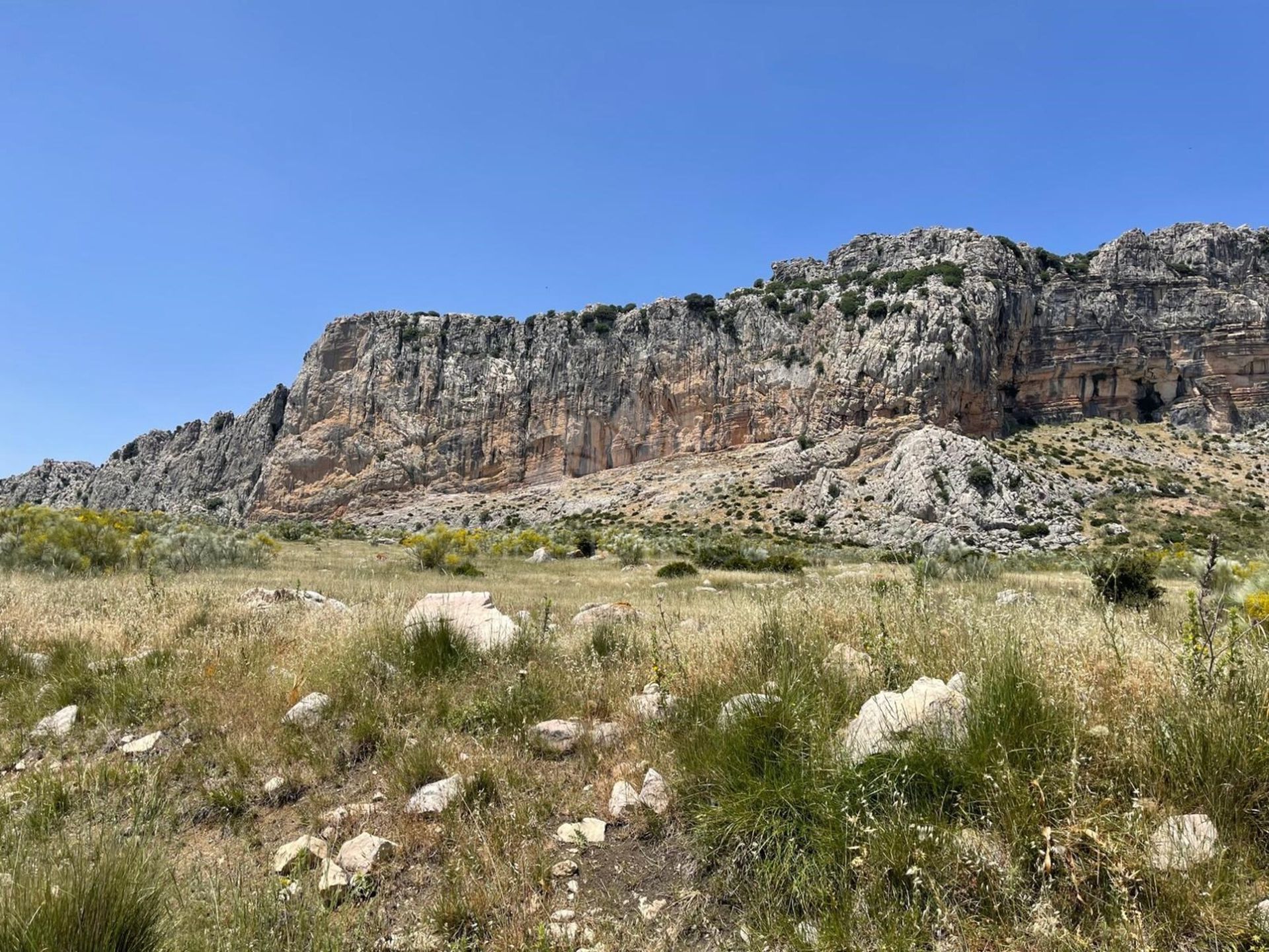 Cortijo en Villanueva de la Concepción