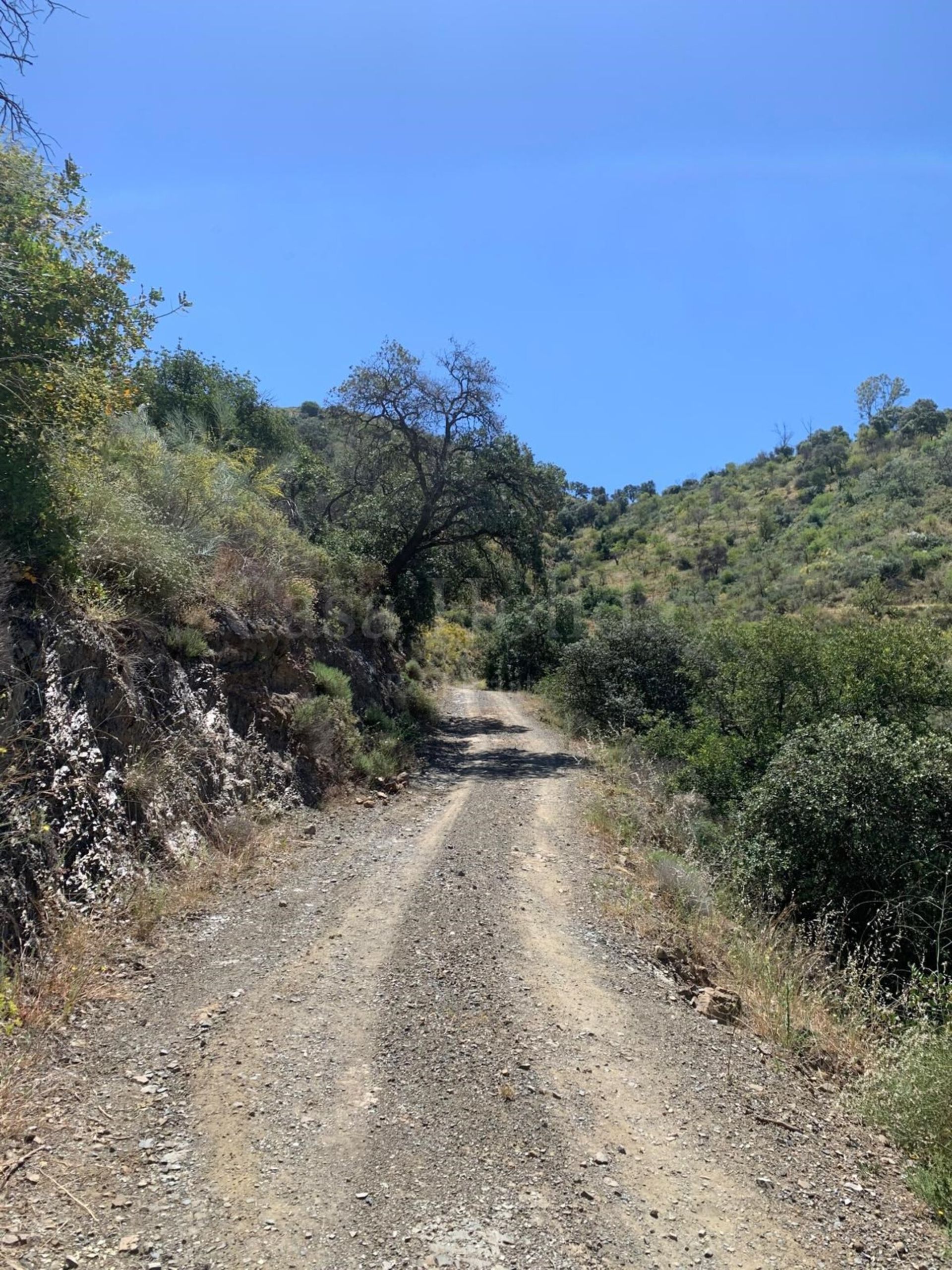 Parcela en San Crispín - Huerta Nueva - Estación, Elda