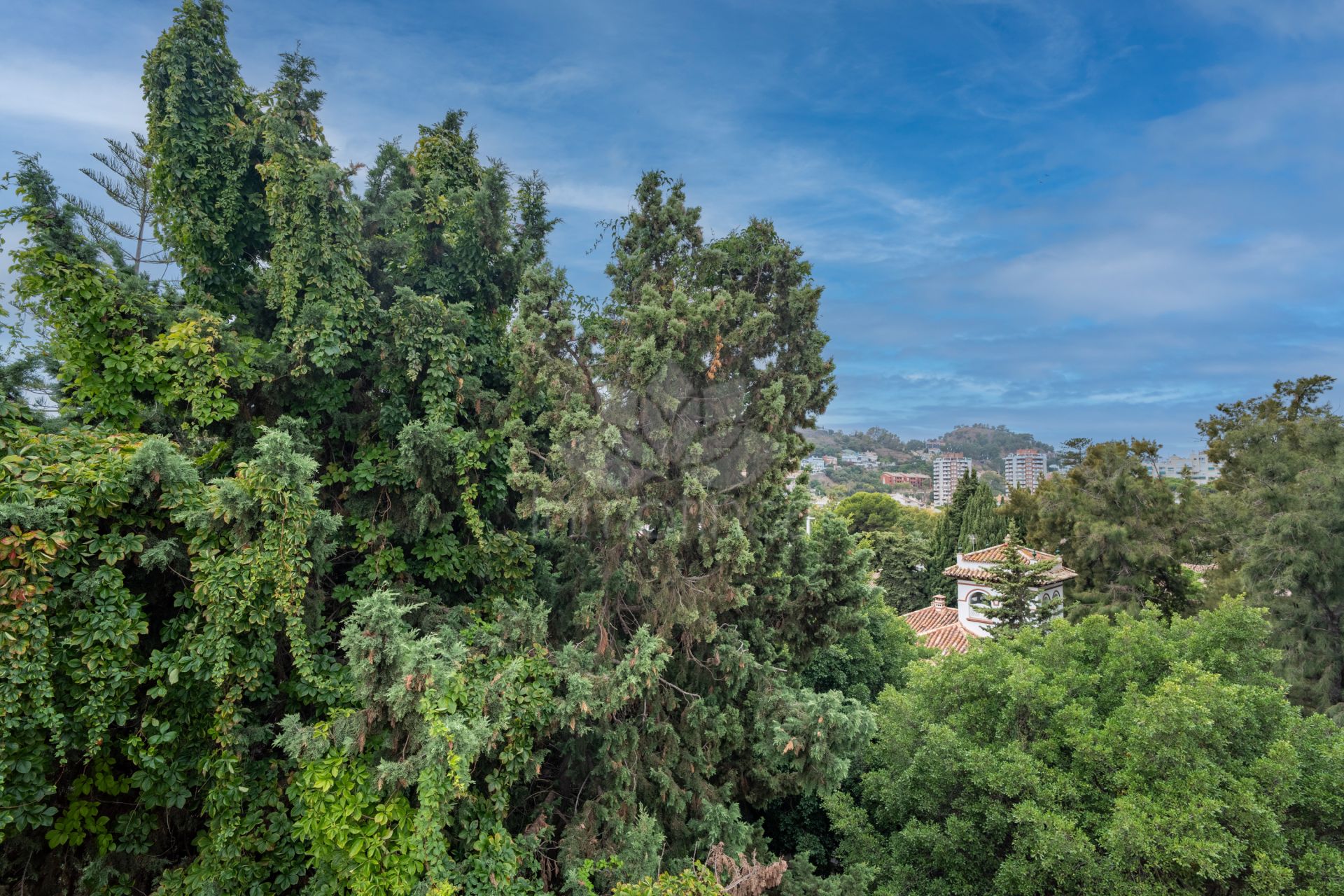 Apartment in El Limonar, Malaga