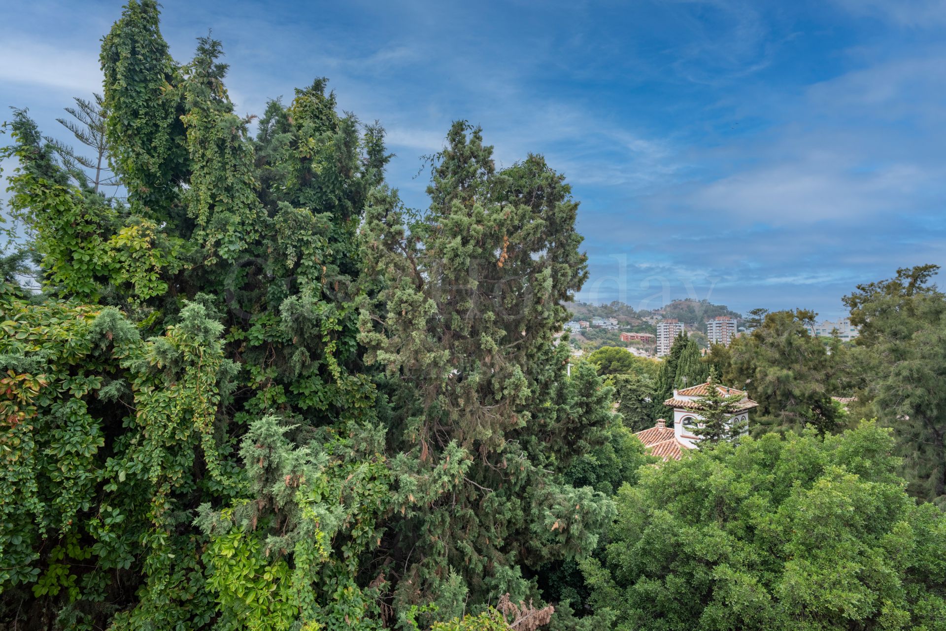 Apartment in El Limonar, Malaga