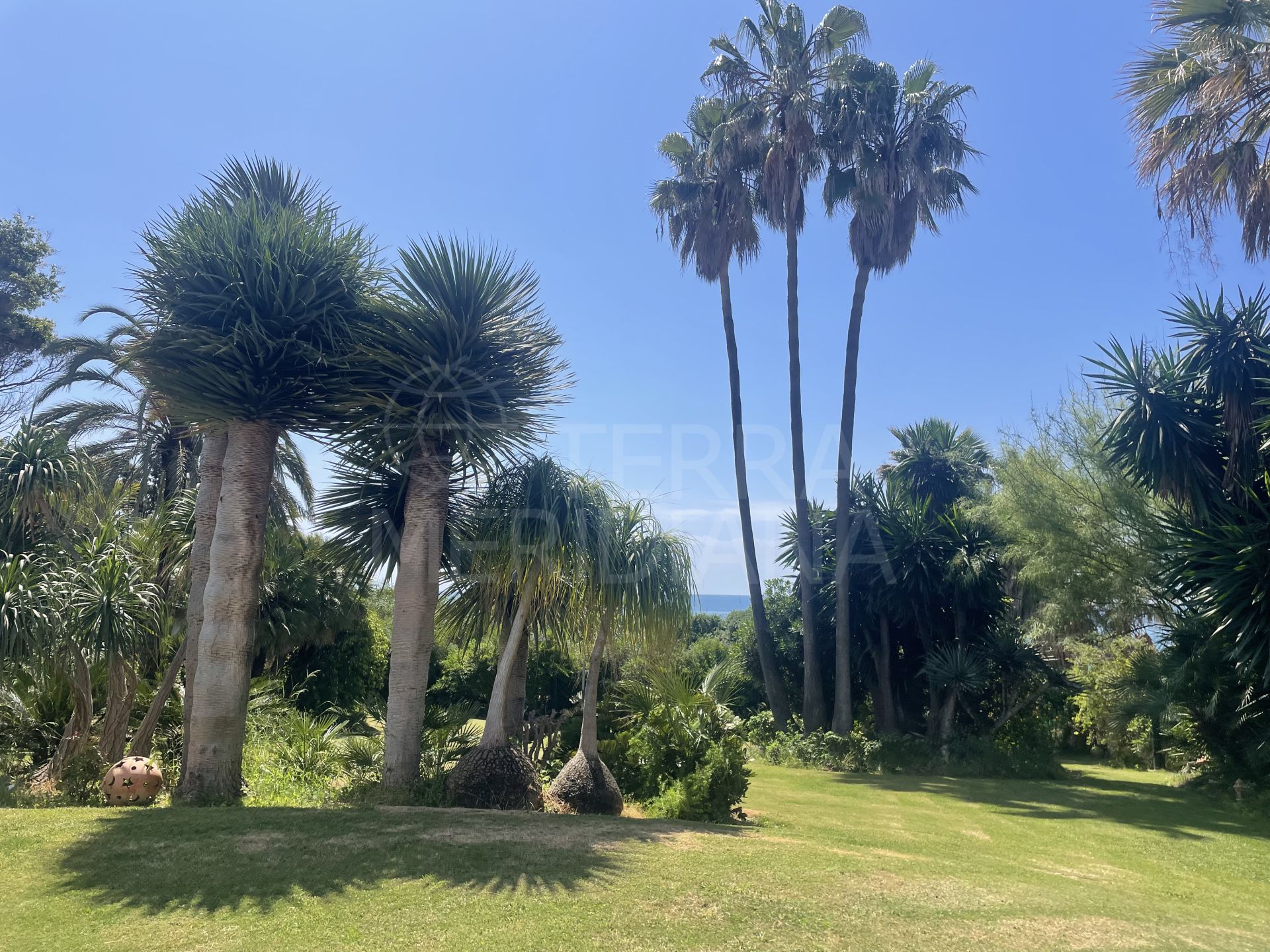 House in Estepona East, Estepona