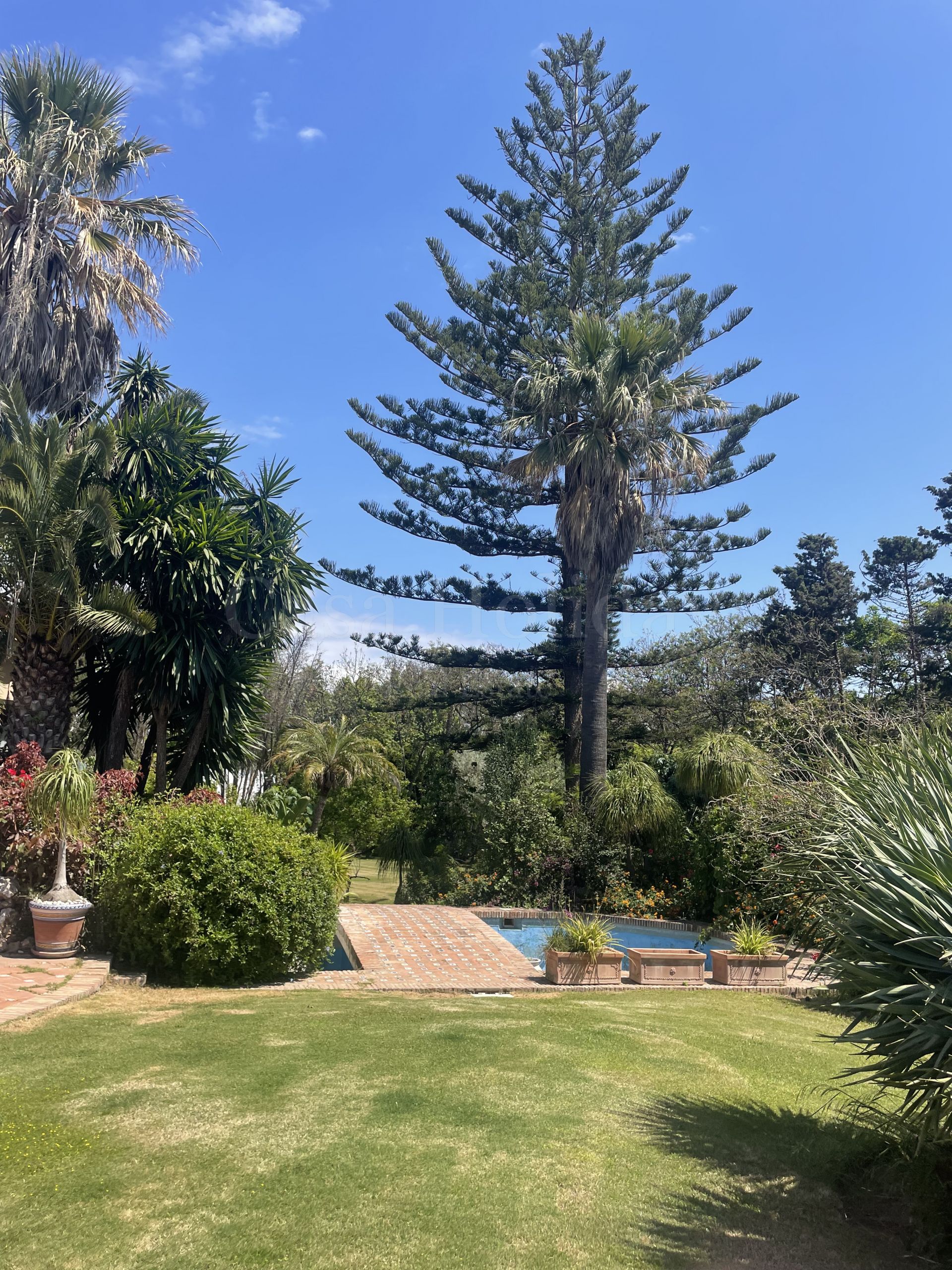 House in Estepona East, Estepona