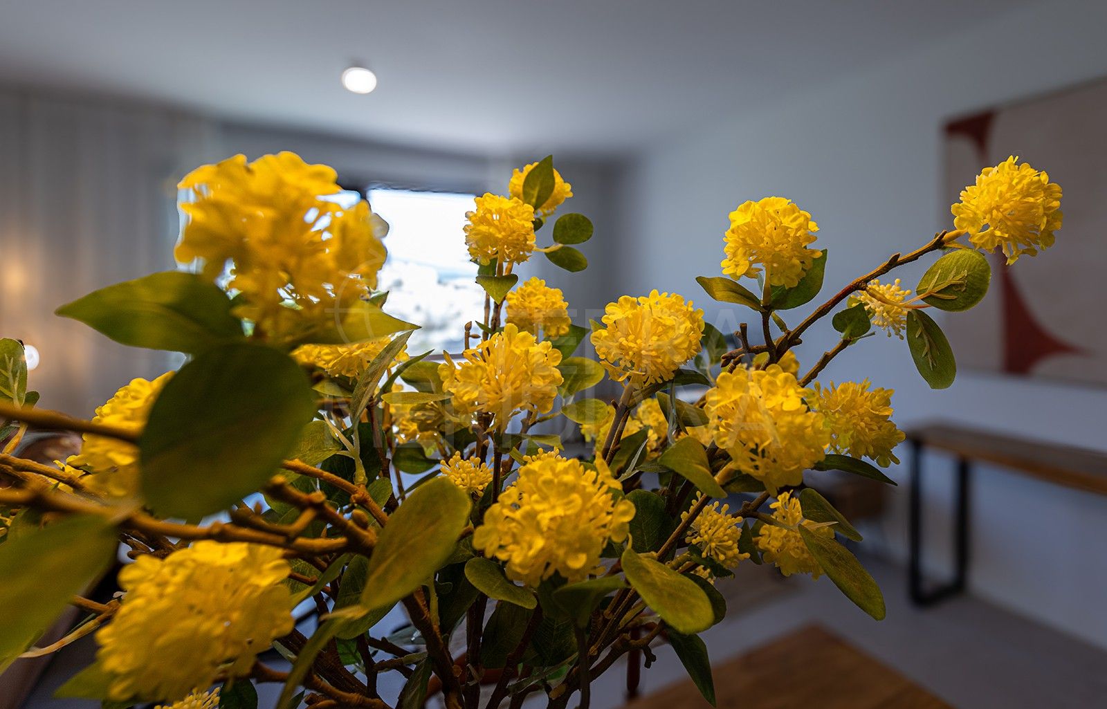 Apartment in Las Mesas, Estepona