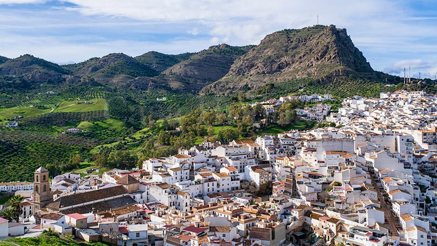 Commercial Premises in Malaga
