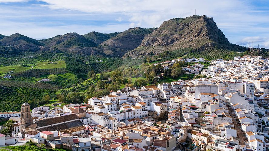 Commercial Premises in Malaga