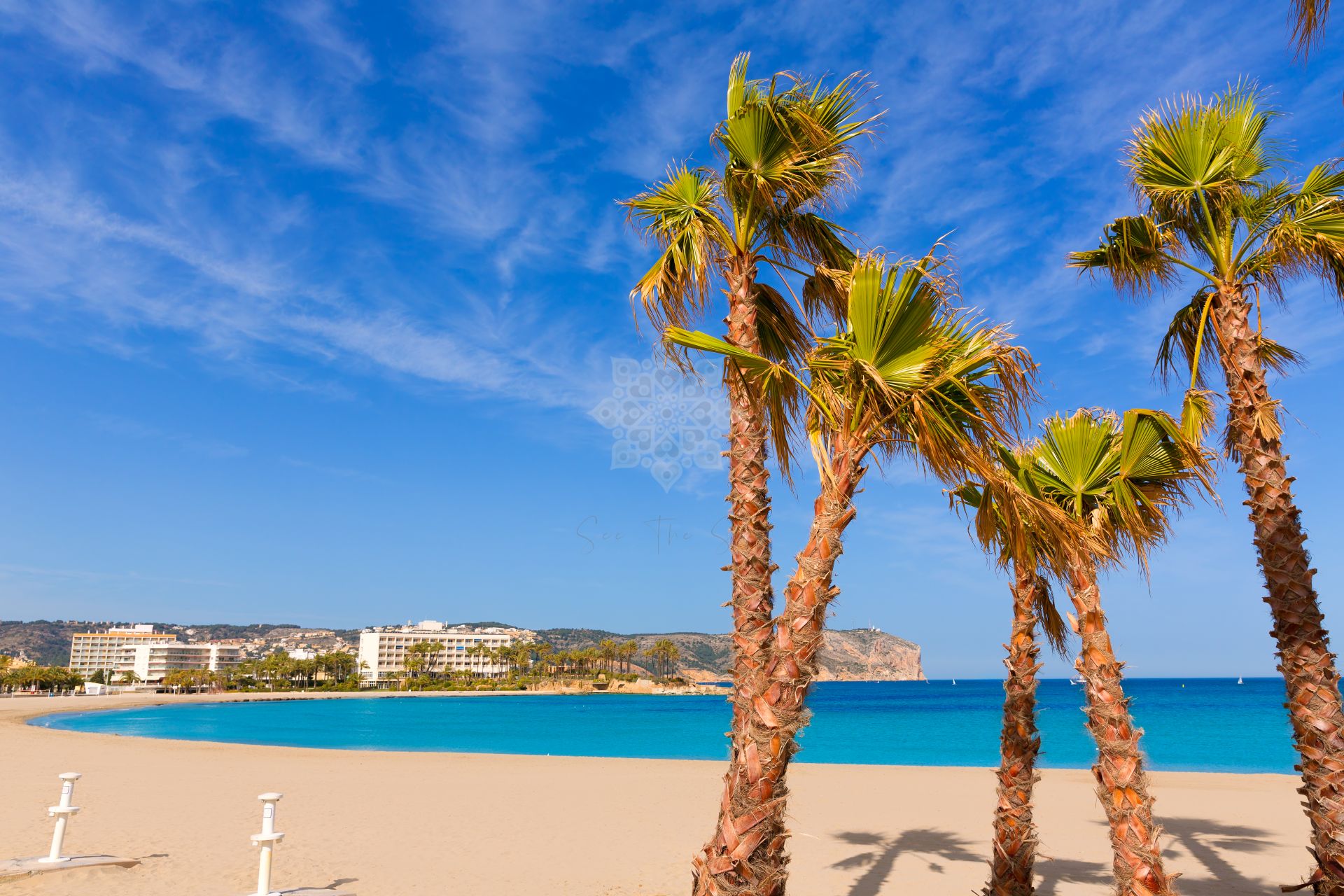Commercial Premises in Malaga