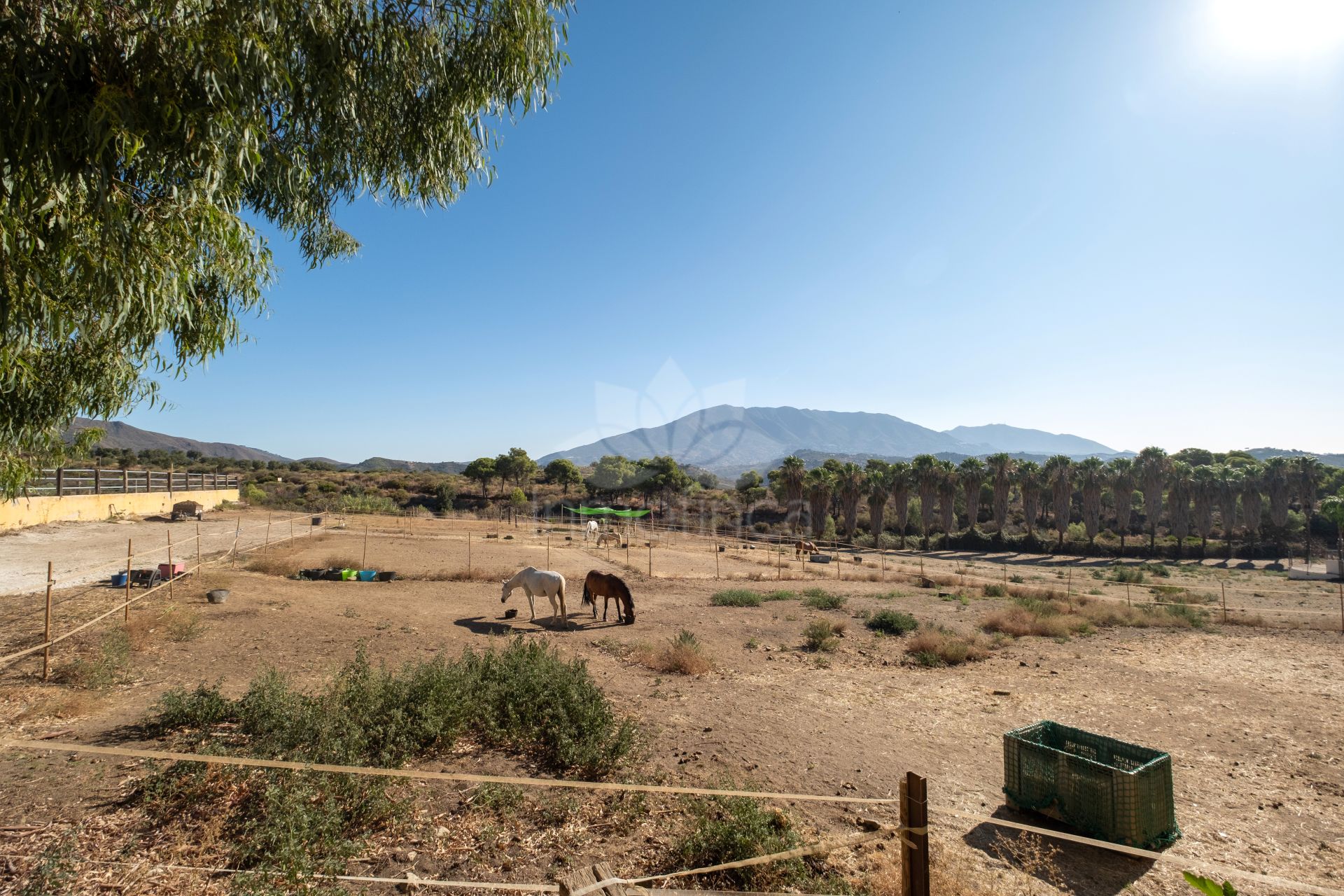 Finca in Mijas Costa