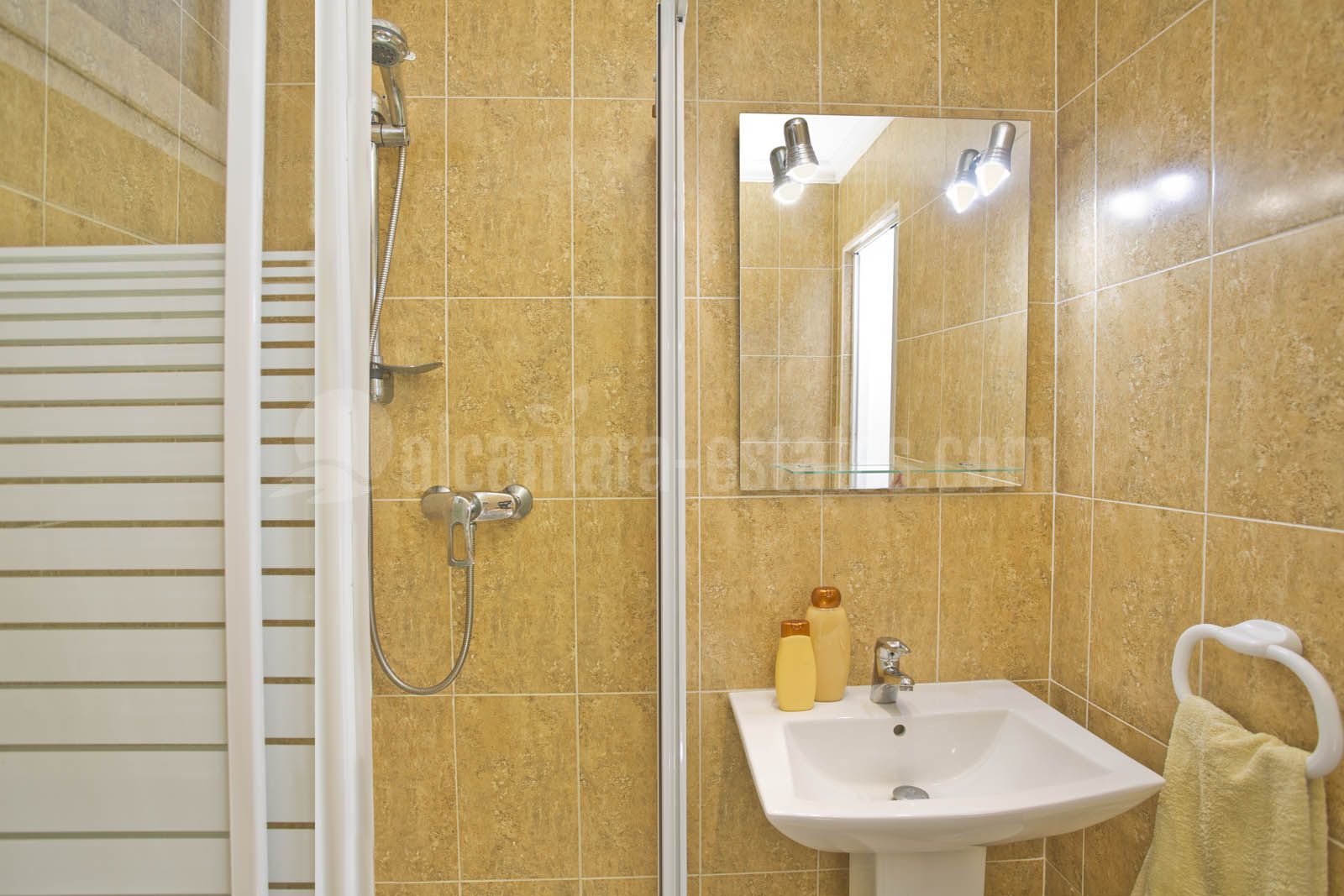 Villa in Elviria, Marbella