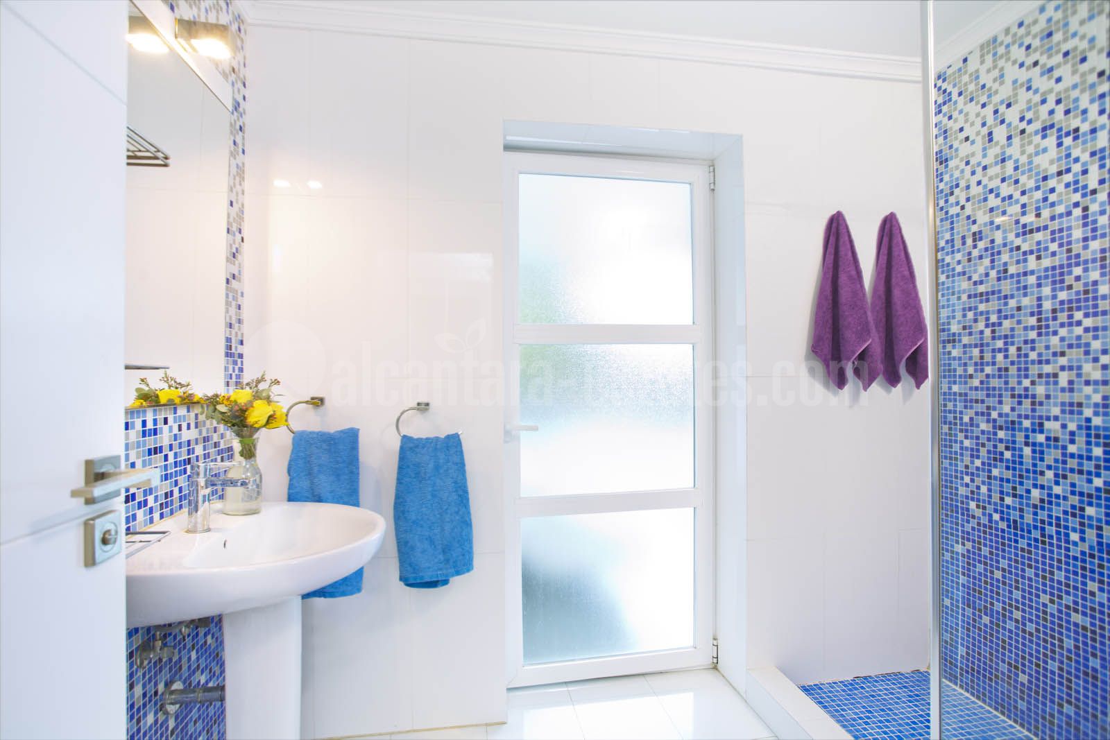 Villa in Elviria, Marbella