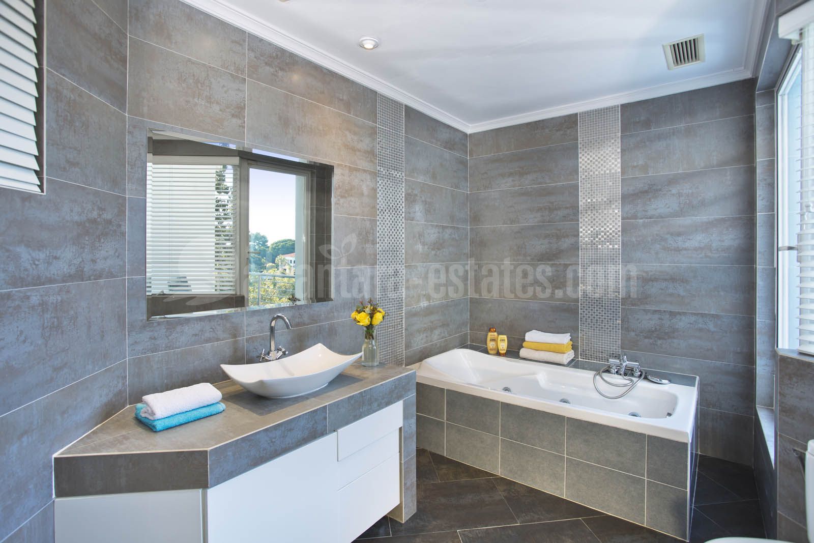 Villa in Elviria, Marbella