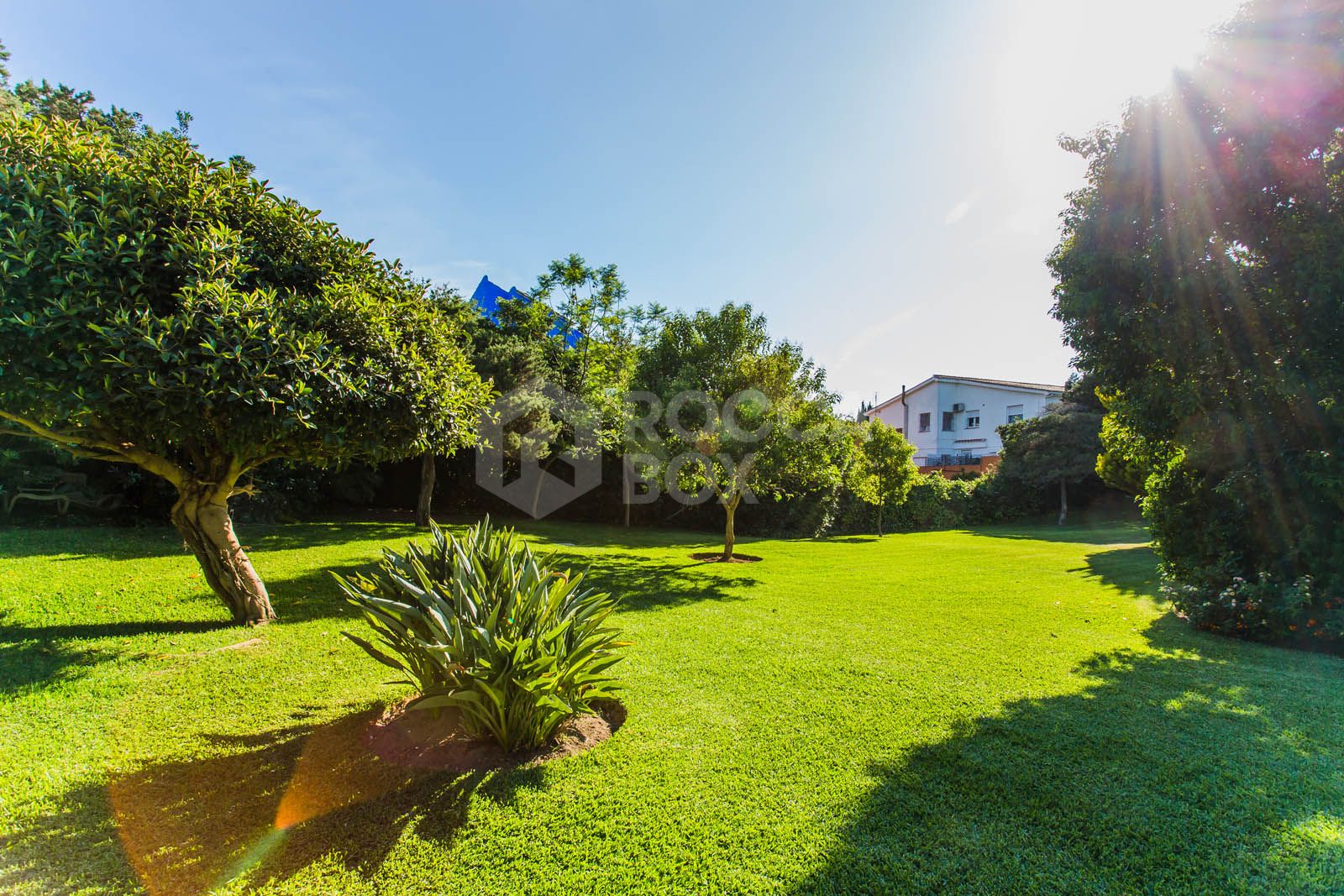 Discover this beautifully renovated studio nestled in the sought-after area of Marbesa, just a short 10-minute stroll from the stunning beach and vibrant bars and restaurants.