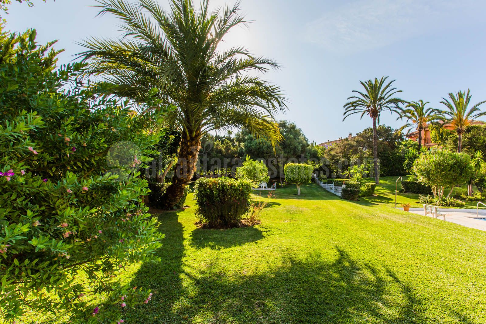 Studio in Marbesa, Marbella