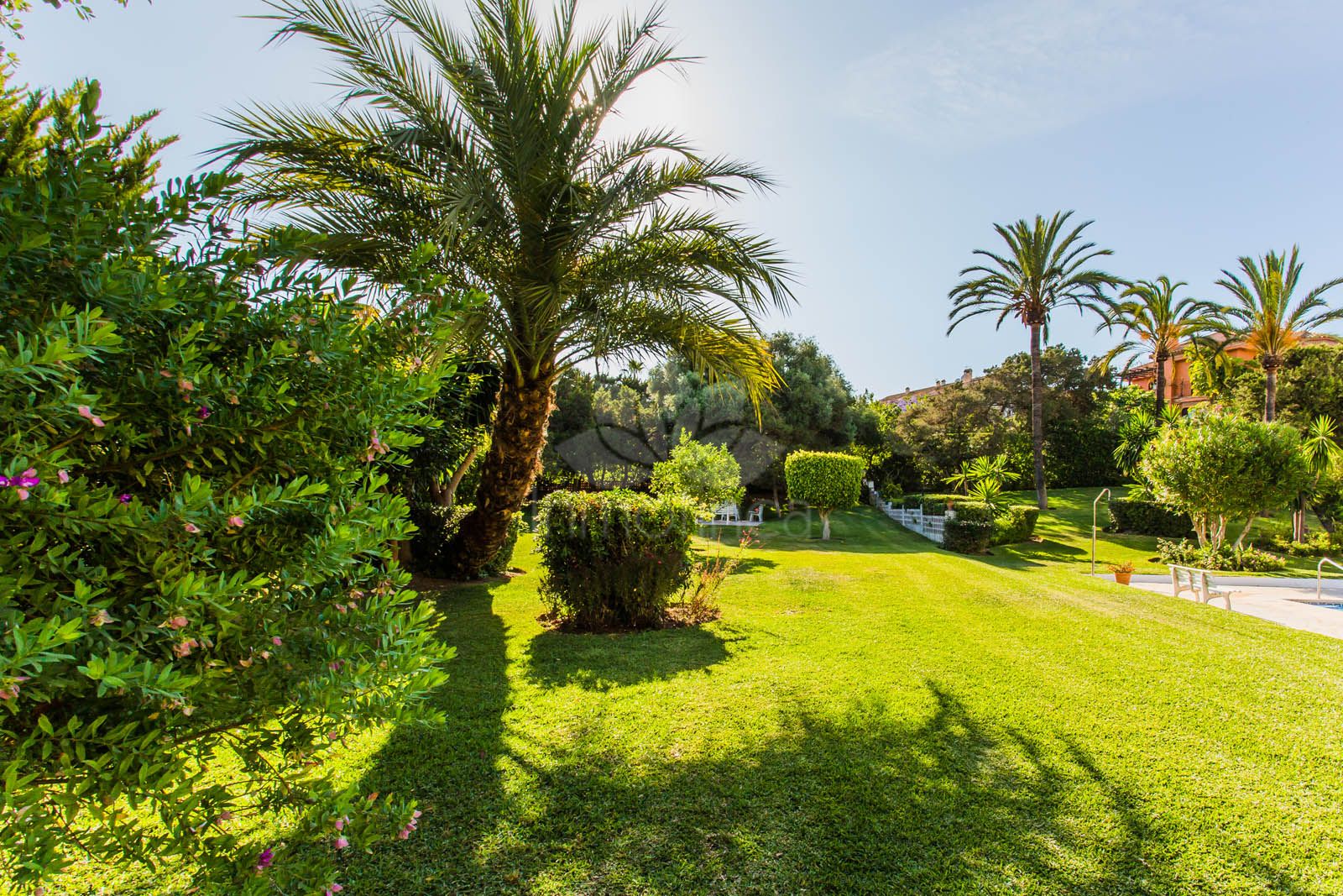 Estudio en Marbesa, Marbella