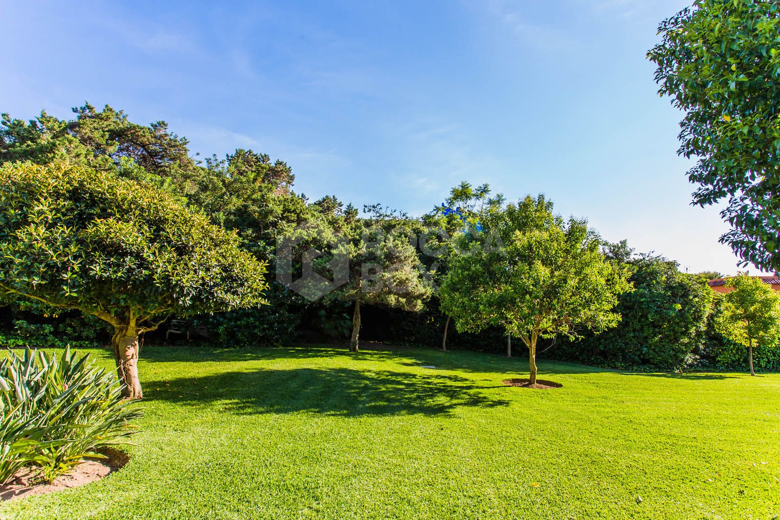 Discover this beautifully renovated studio nestled in the sought-after area of Marbesa, just a short 10-minute stroll from the stunning beach and vibrant bars and restaurants.