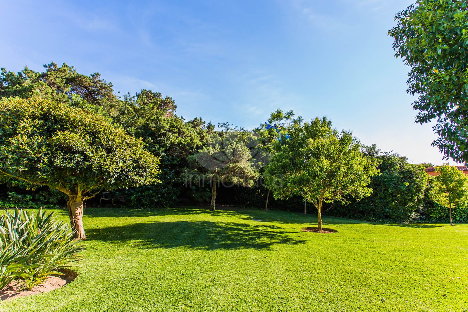 Estudio en Marbesa, Marbella