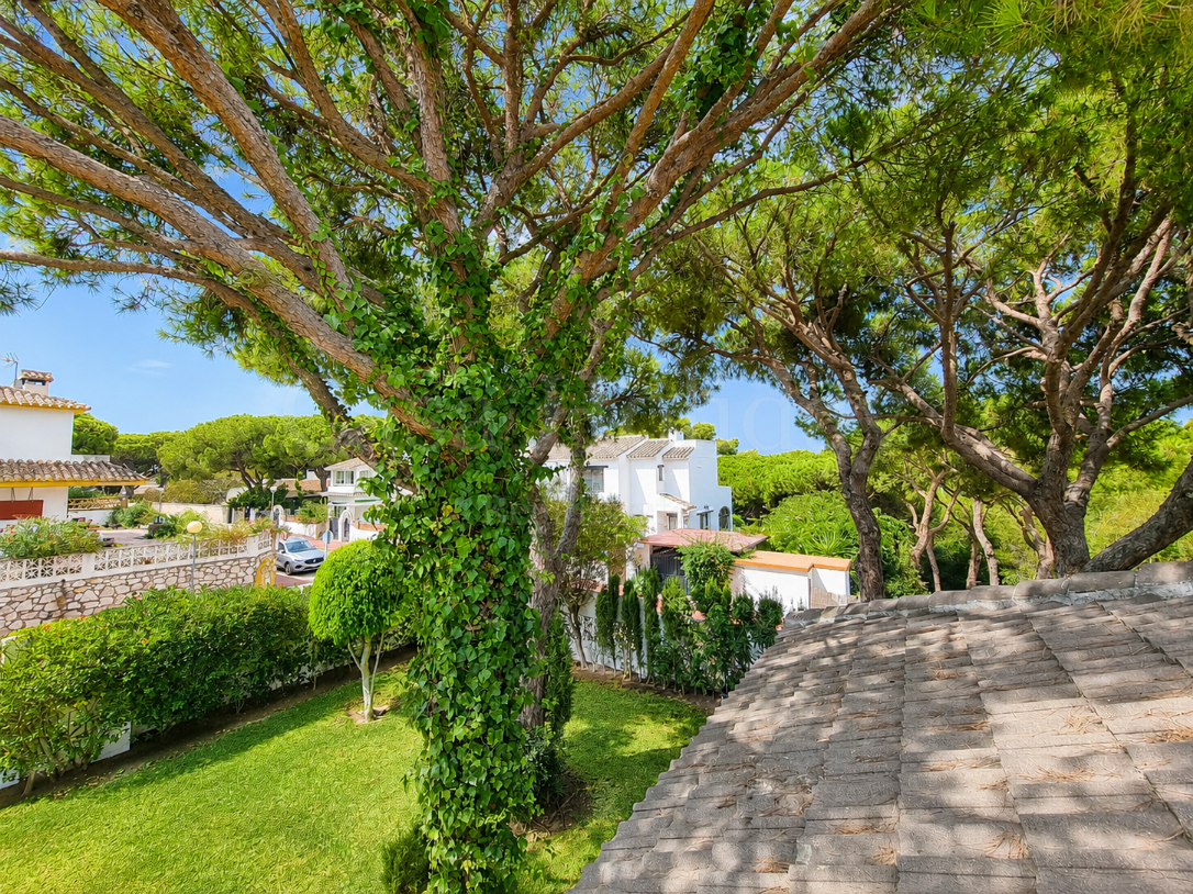 Villa in Calahonda, Mijas Costa