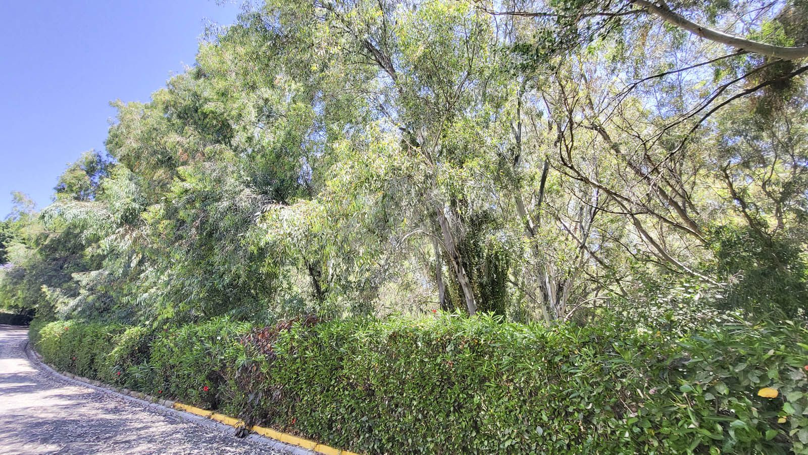 Apartment in Calahonda, Mijas Costa