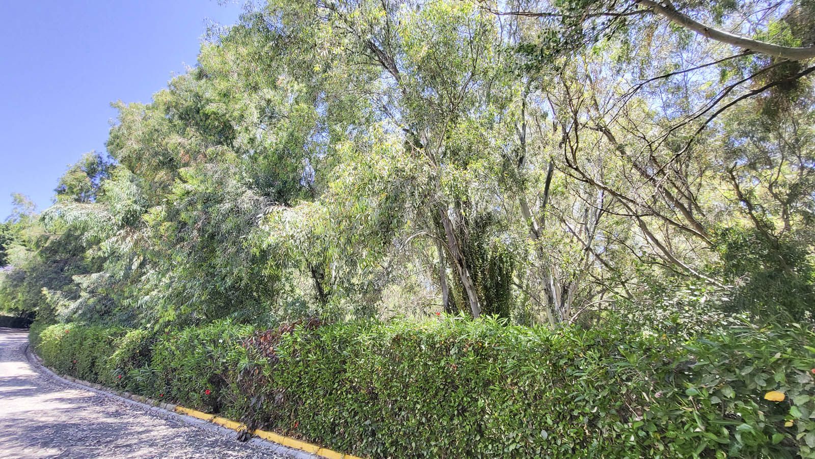Apartamento en Calahonda, Mijas Costa