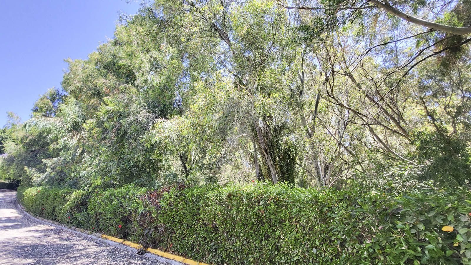 Apartment in Calahonda, Mijas Costa